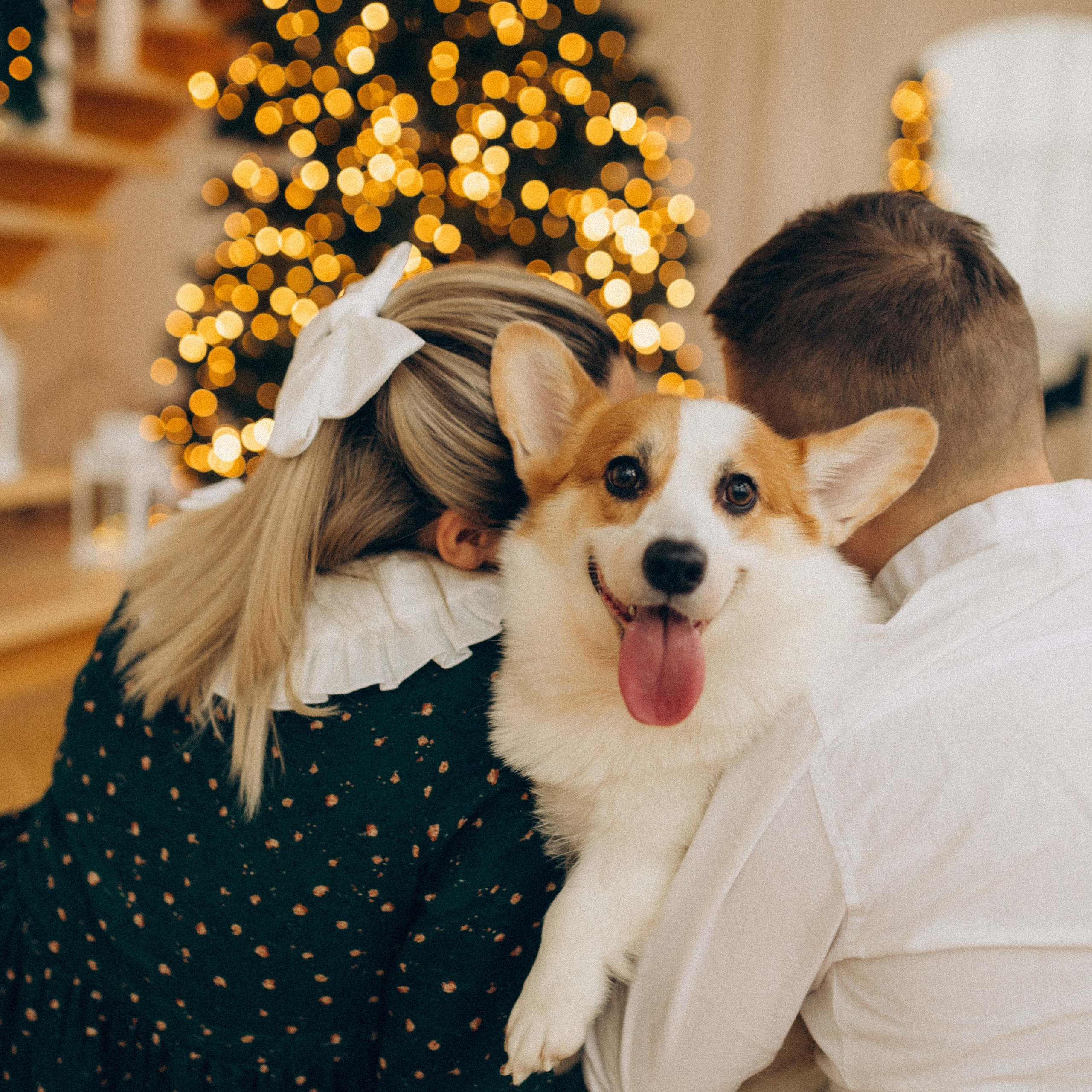 Отзывы. Www.kazakovaphoto.ru