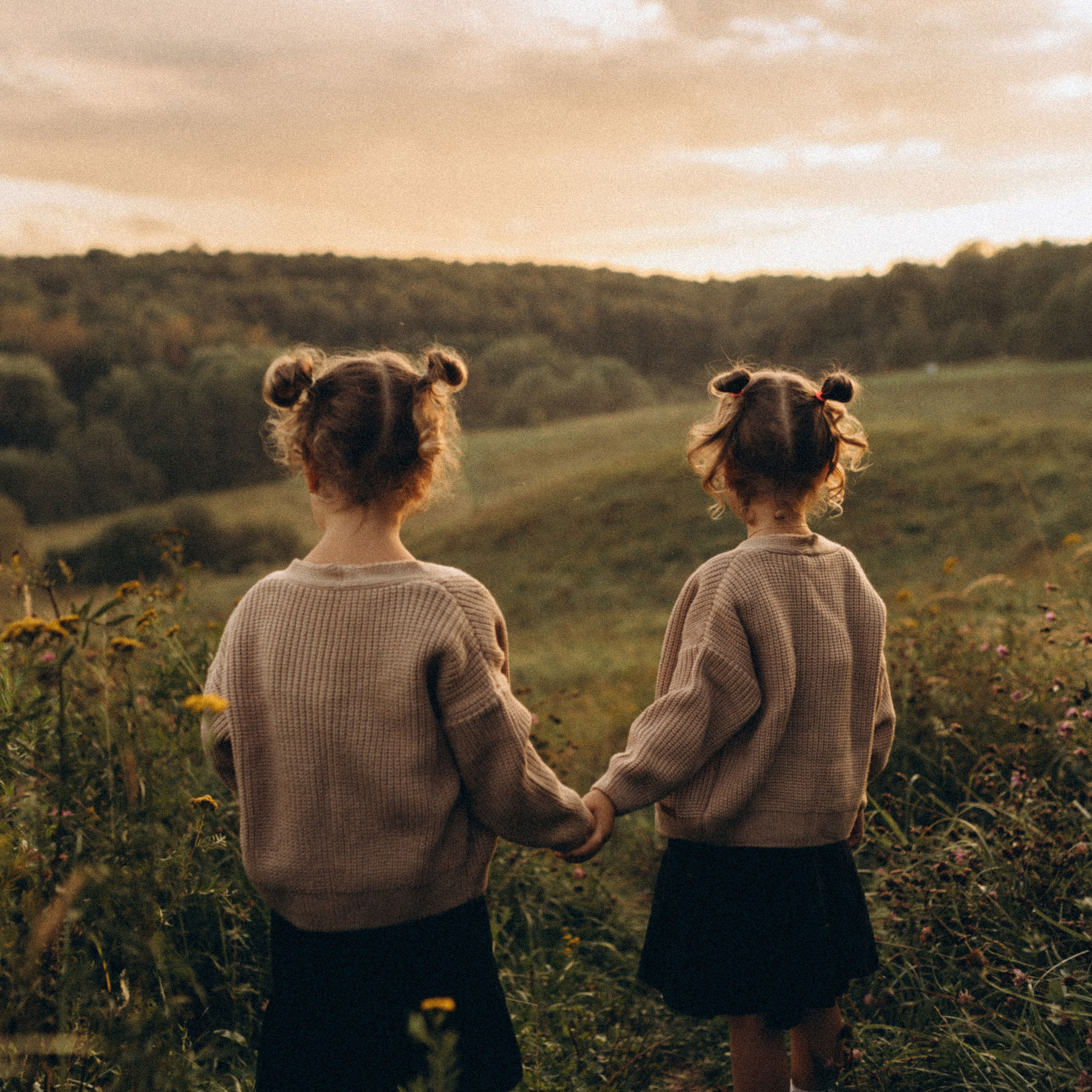 Закатная в тумане