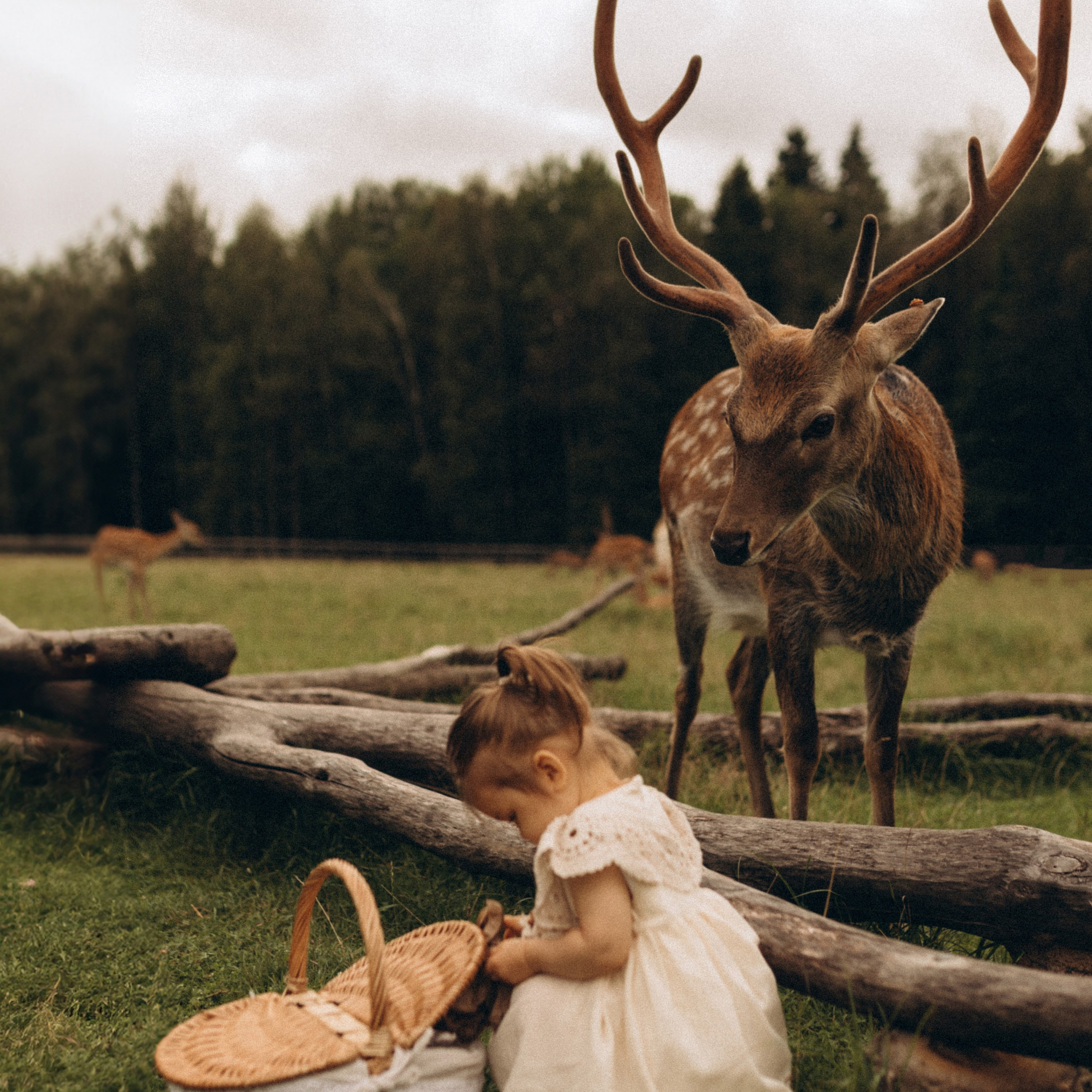 Знакомство с Бэмби. Www.kazakovaphoto.ru