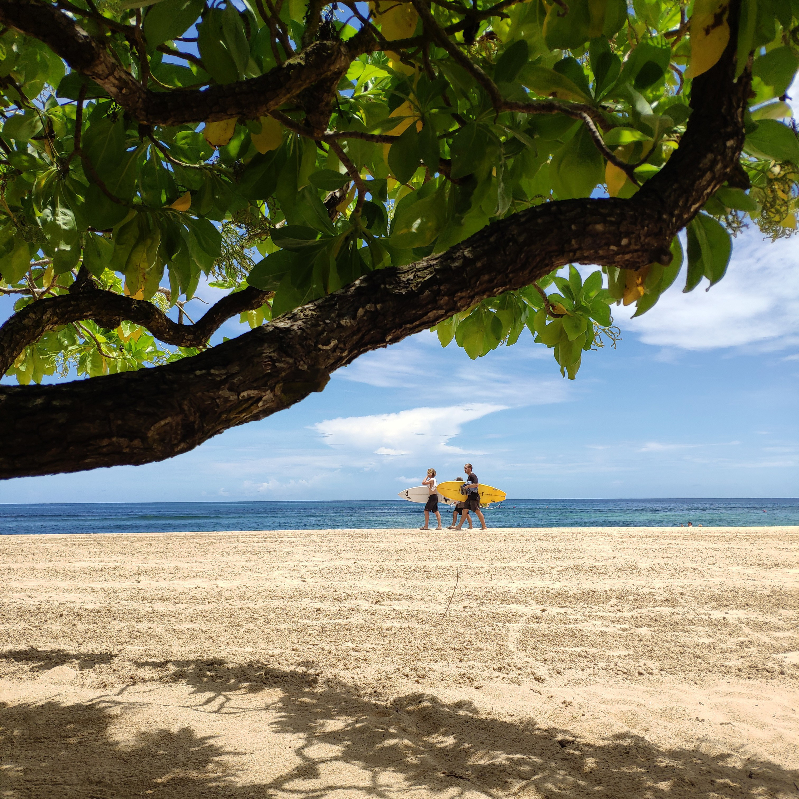 Indonesia (Bali Island)