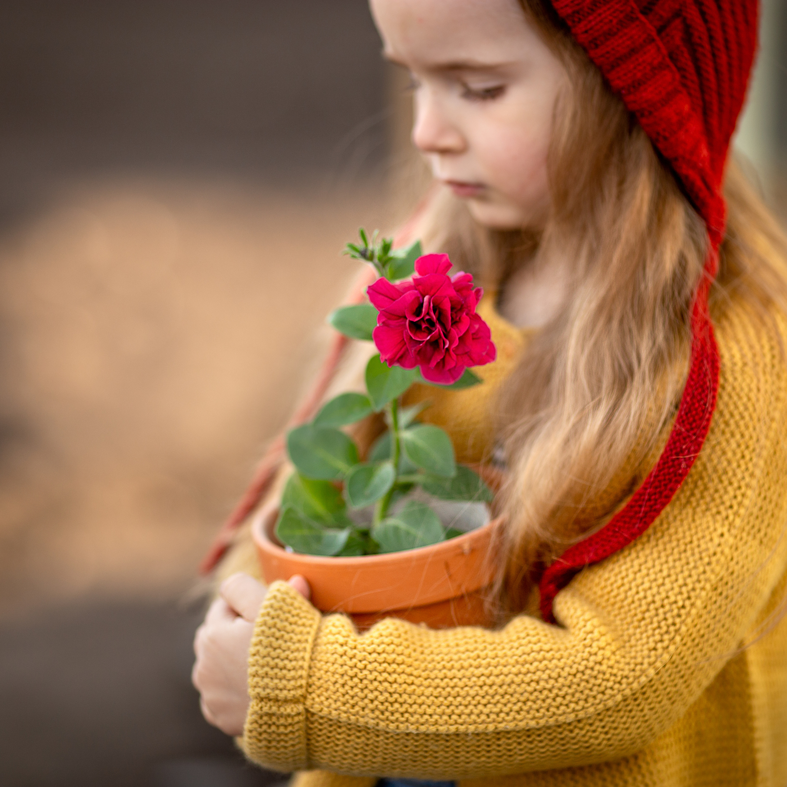 Юный садовод