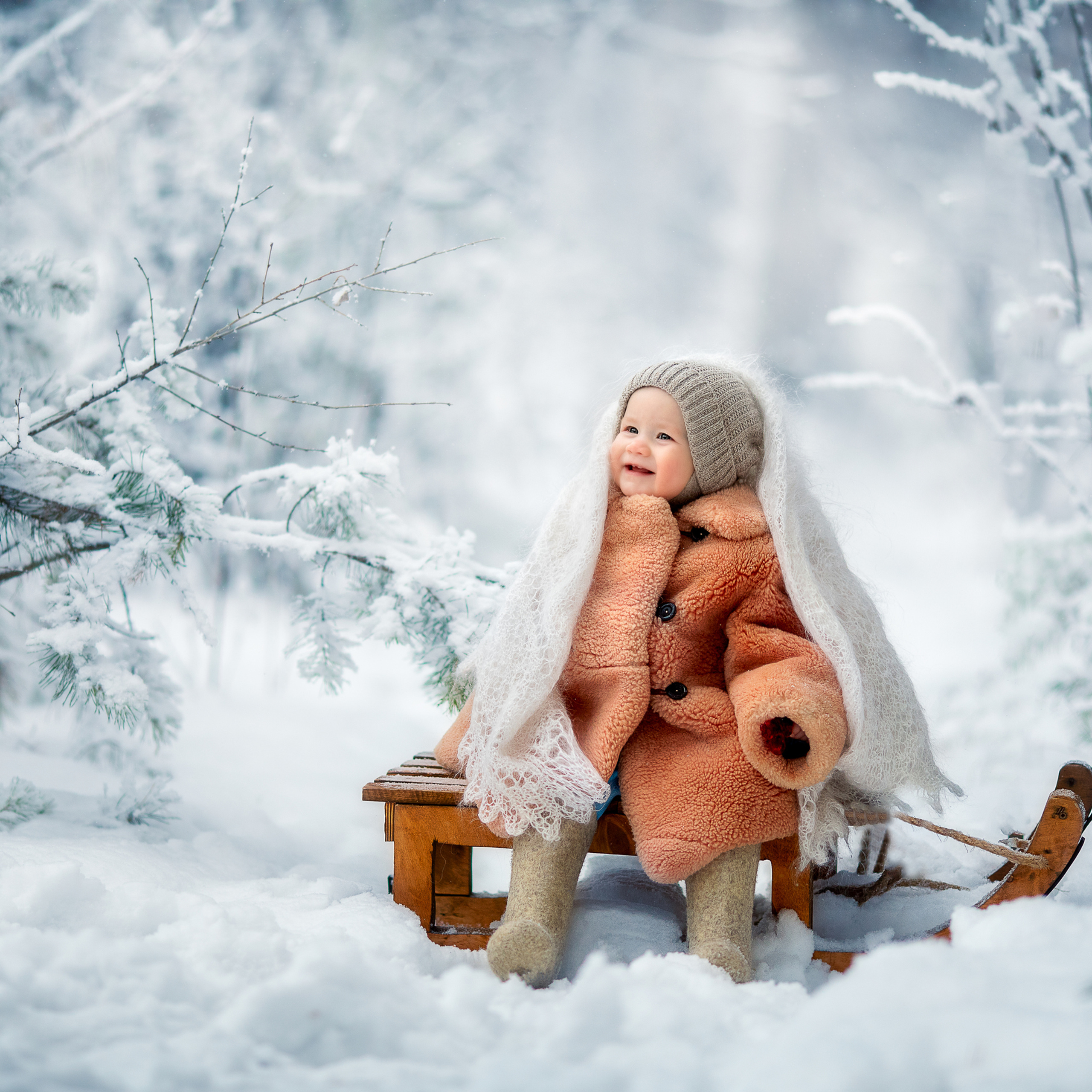 В зимнем лесу