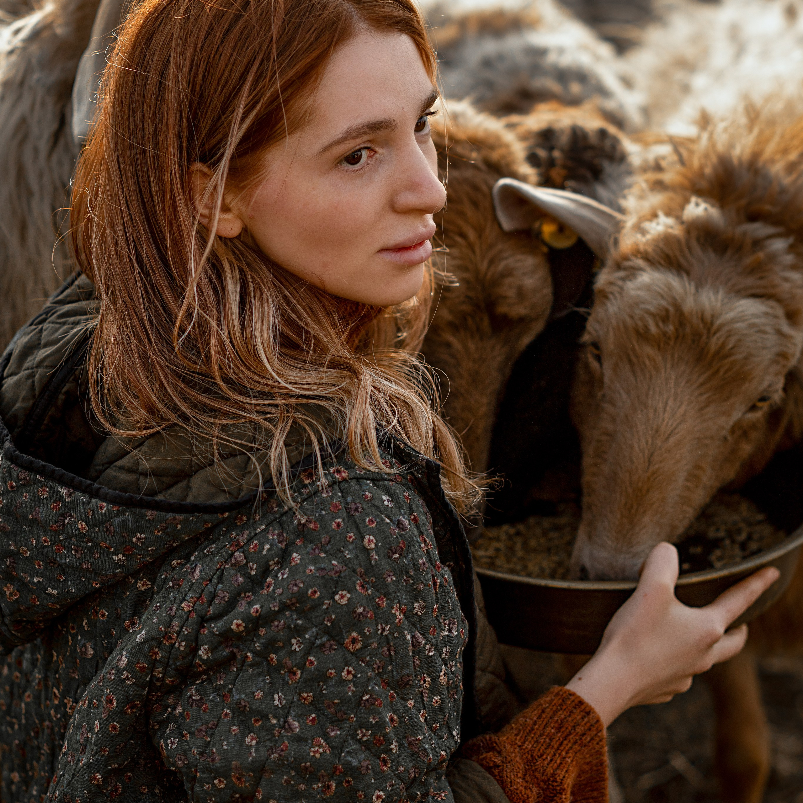 Диана и барашки