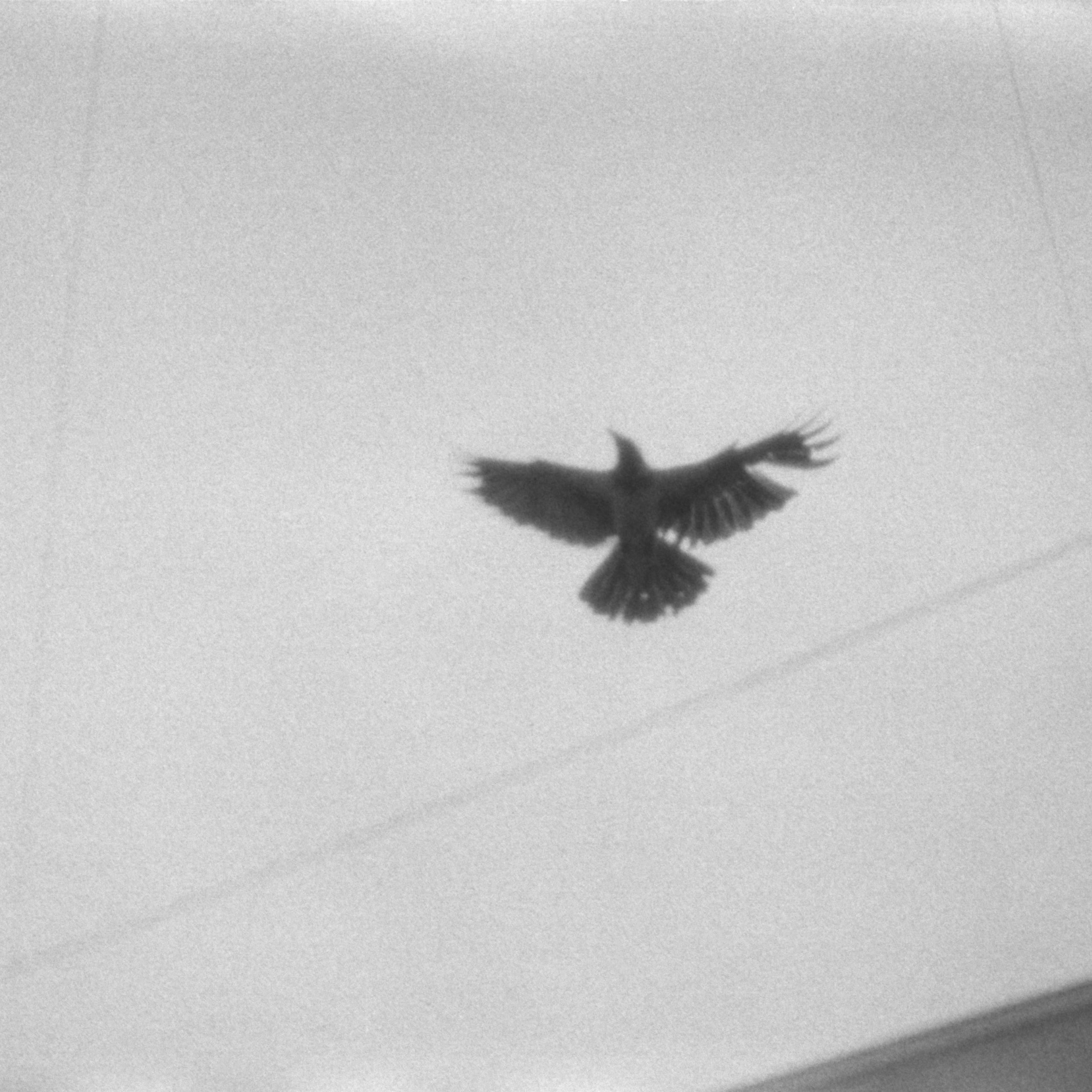 Spaces and faces 2013-∞