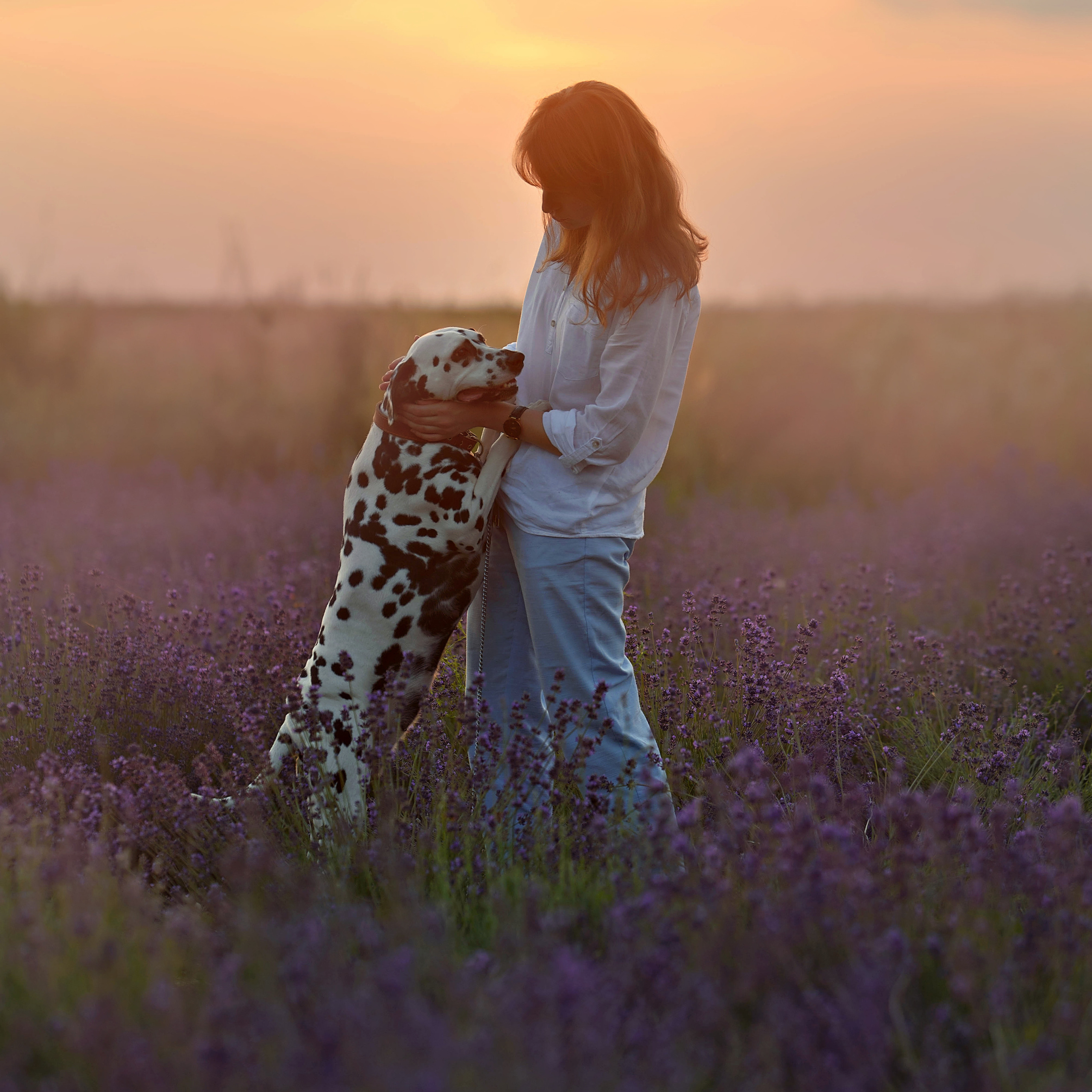 Отзывы. Фотограф Вероника Ранцева, фотосессии с лошадьми в Минске и Могилеве