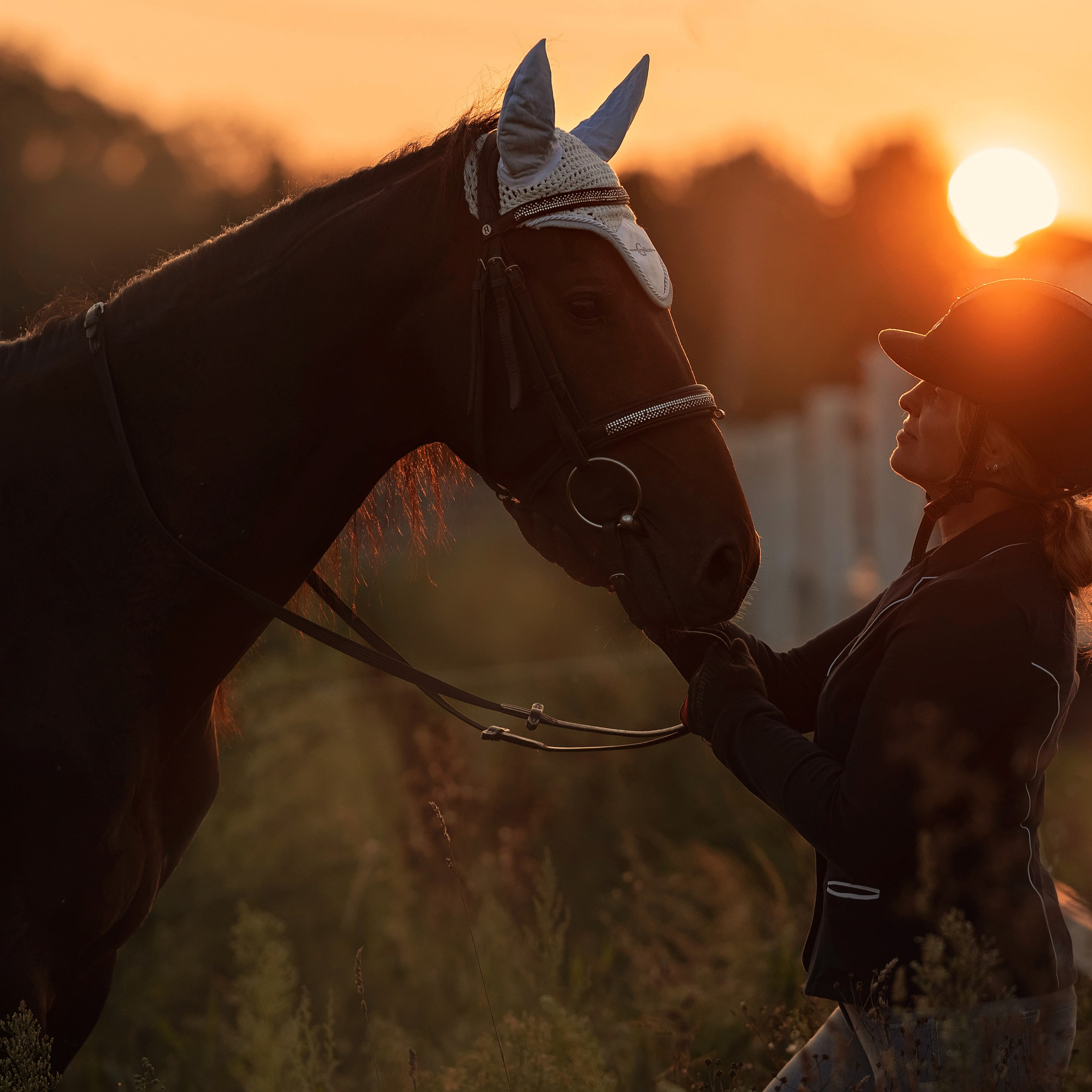 Отзывы. Фотограф Вероника Ранцева, фотосессии с лошадьми в Минске и Могилеве