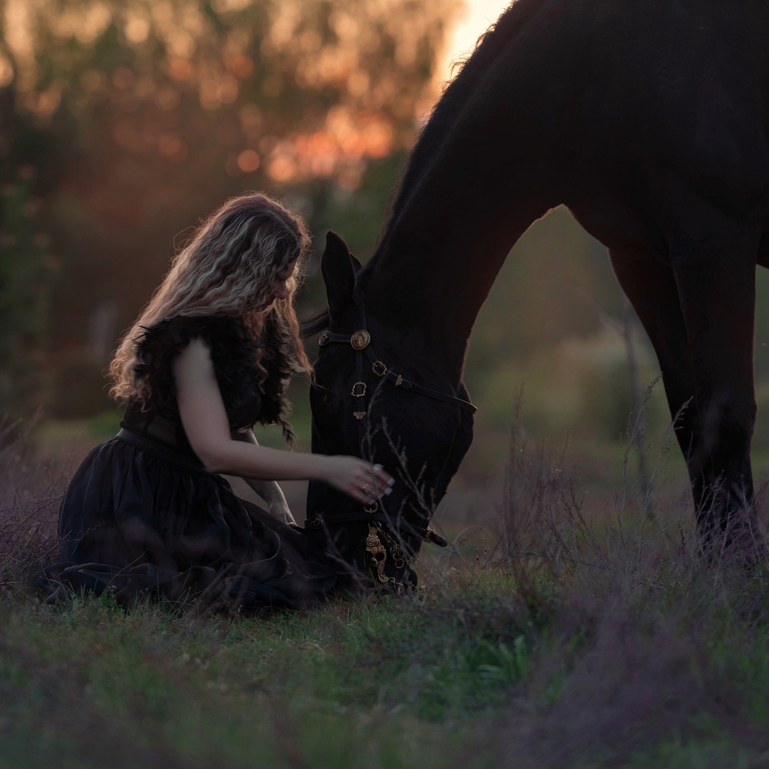 Отзывы. Фотограф Вероника Ранцева, фотосессии с лошадьми в Минске и Могилеве