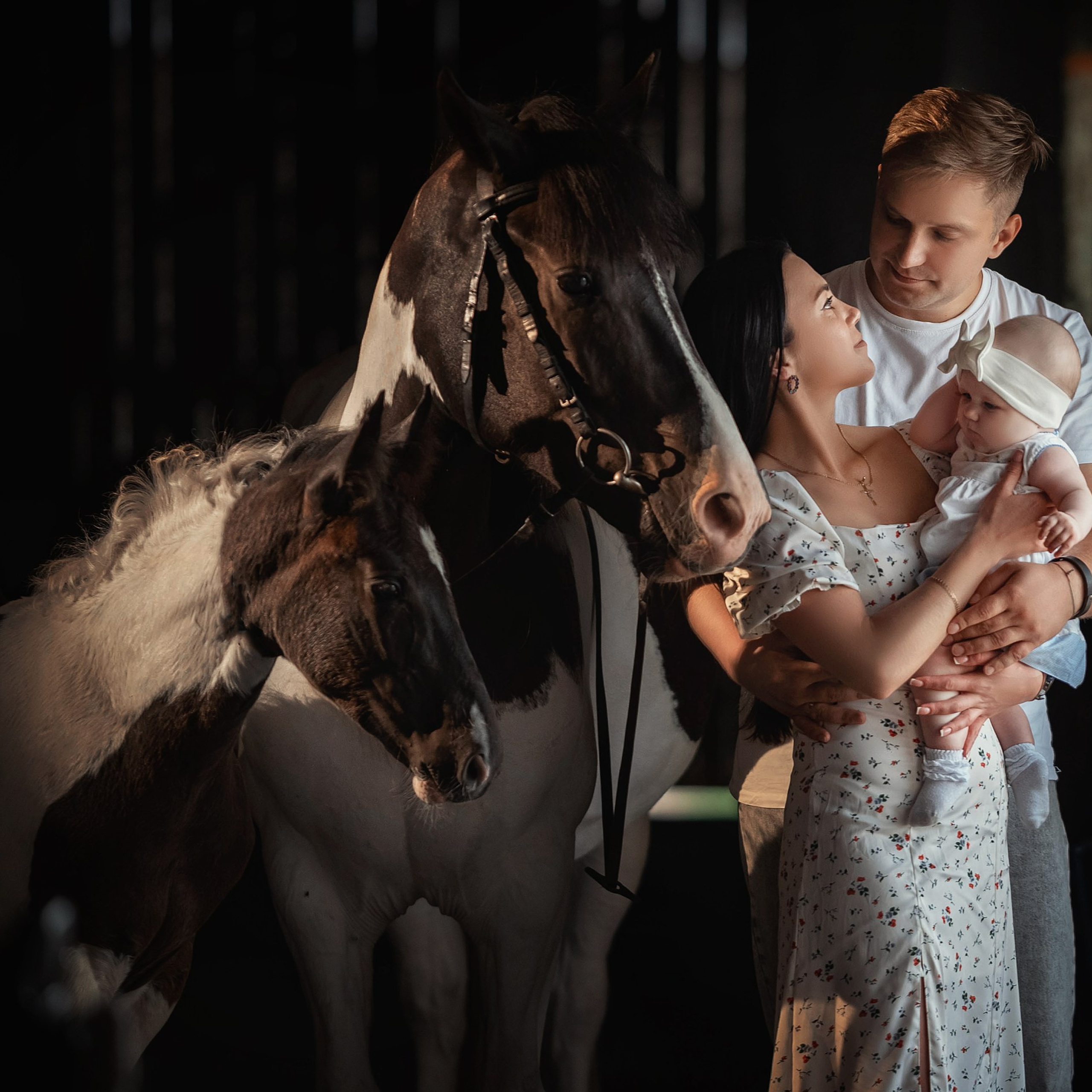 Отзывы. Фотограф Вероника Ранцева, фотосессии с лошадьми в Минске и Могилеве