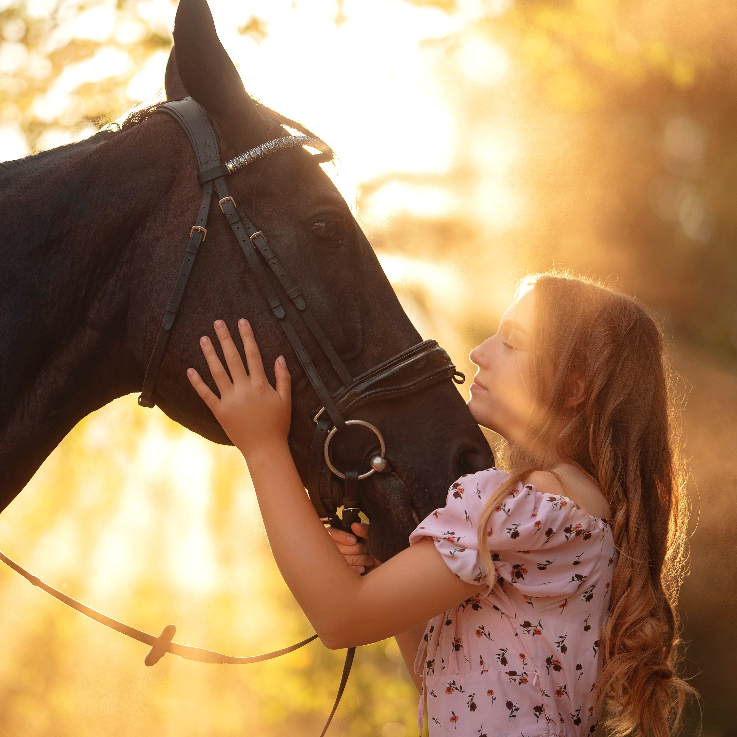 Отзывы. Фотограф Вероника Ранцева, фотосессии с лошадьми в Минске и Могилеве