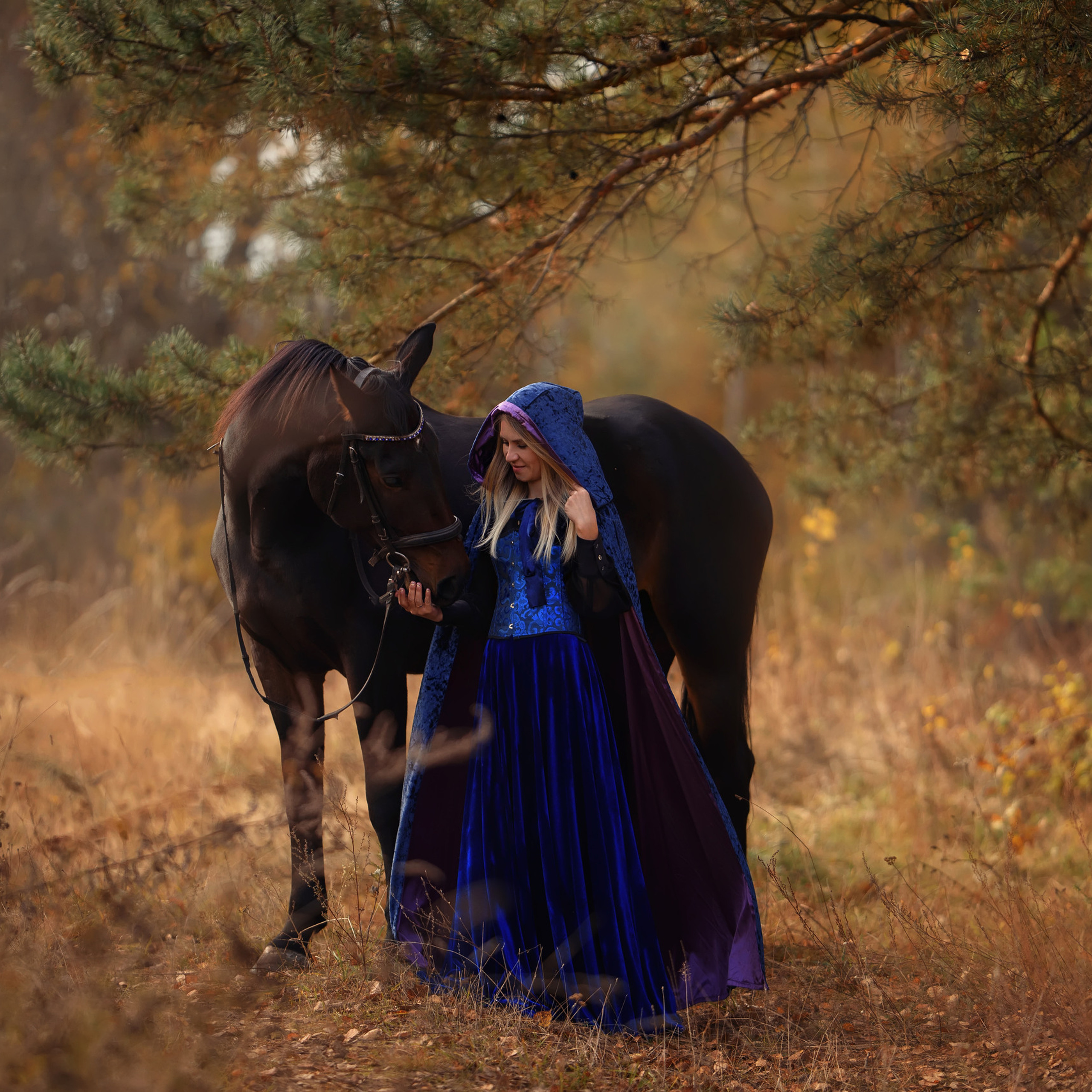 Отзывы. Фотограф Вероника Ранцева, фотосессии с лошадьми в Минске и Могилеве