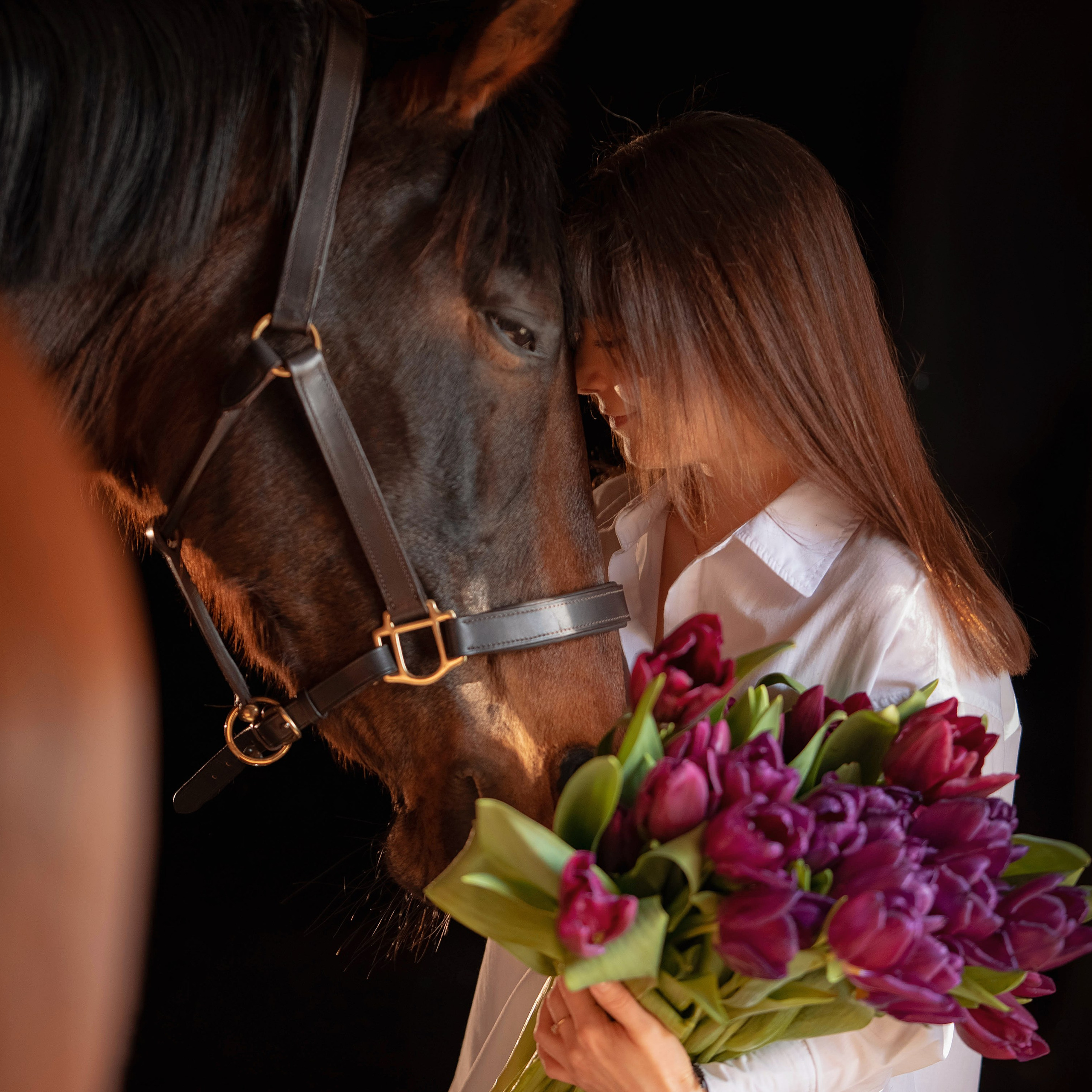 Отзывы. Фотограф Вероника Ранцева, фотосессии с лошадьми в Минске и Могилеве