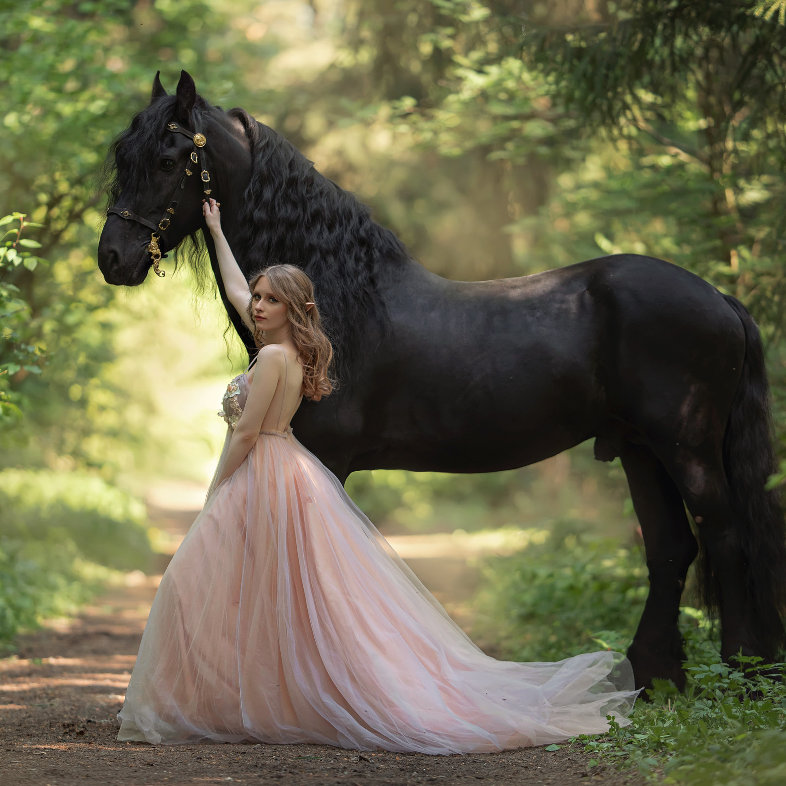 Отзывы. Фотограф Вероника Ранцева, фотосессии с лошадьми в Минске и Могилеве