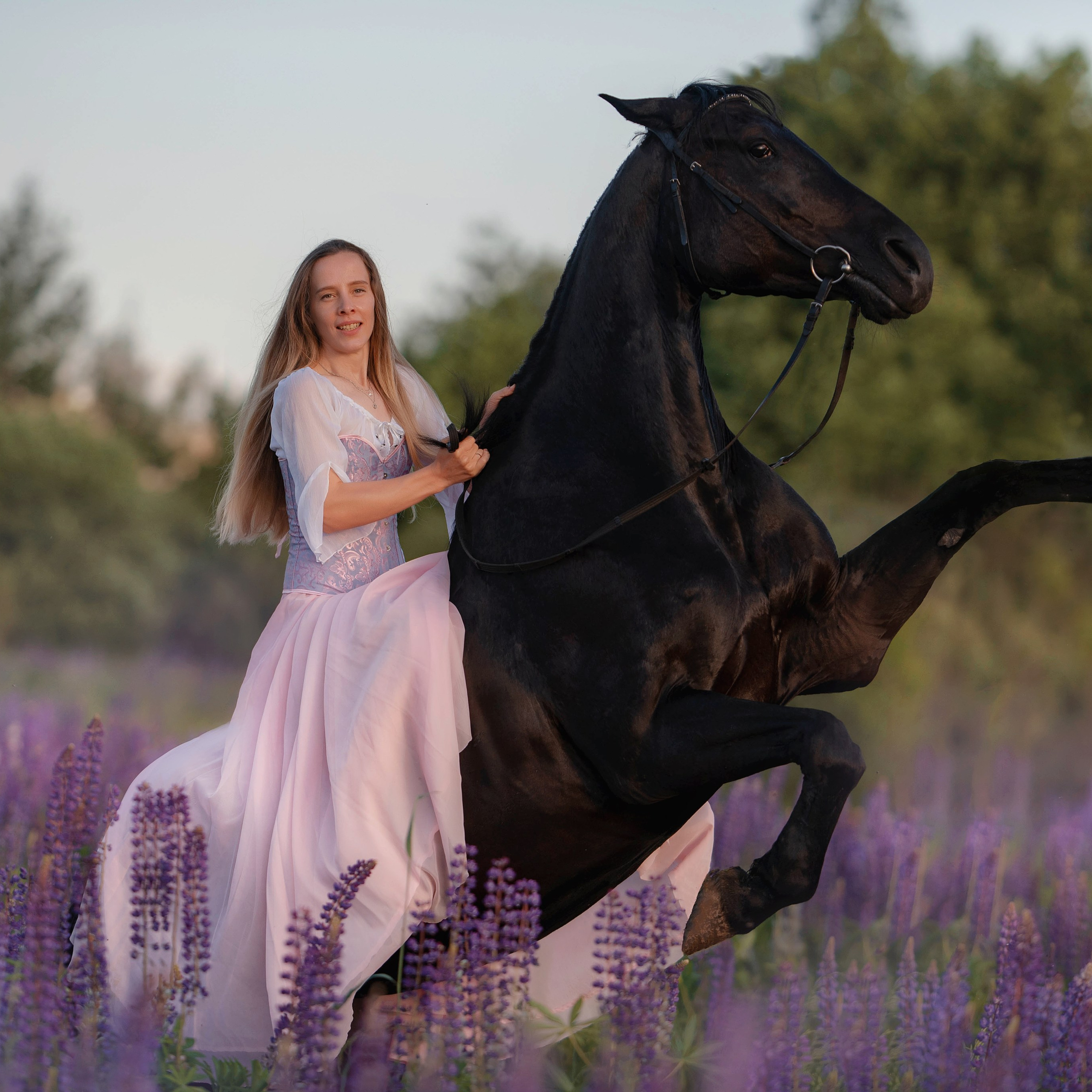 Отзывы. Фотограф Вероника Ранцева, фотосессии с лошадьми в Минске и Могилеве