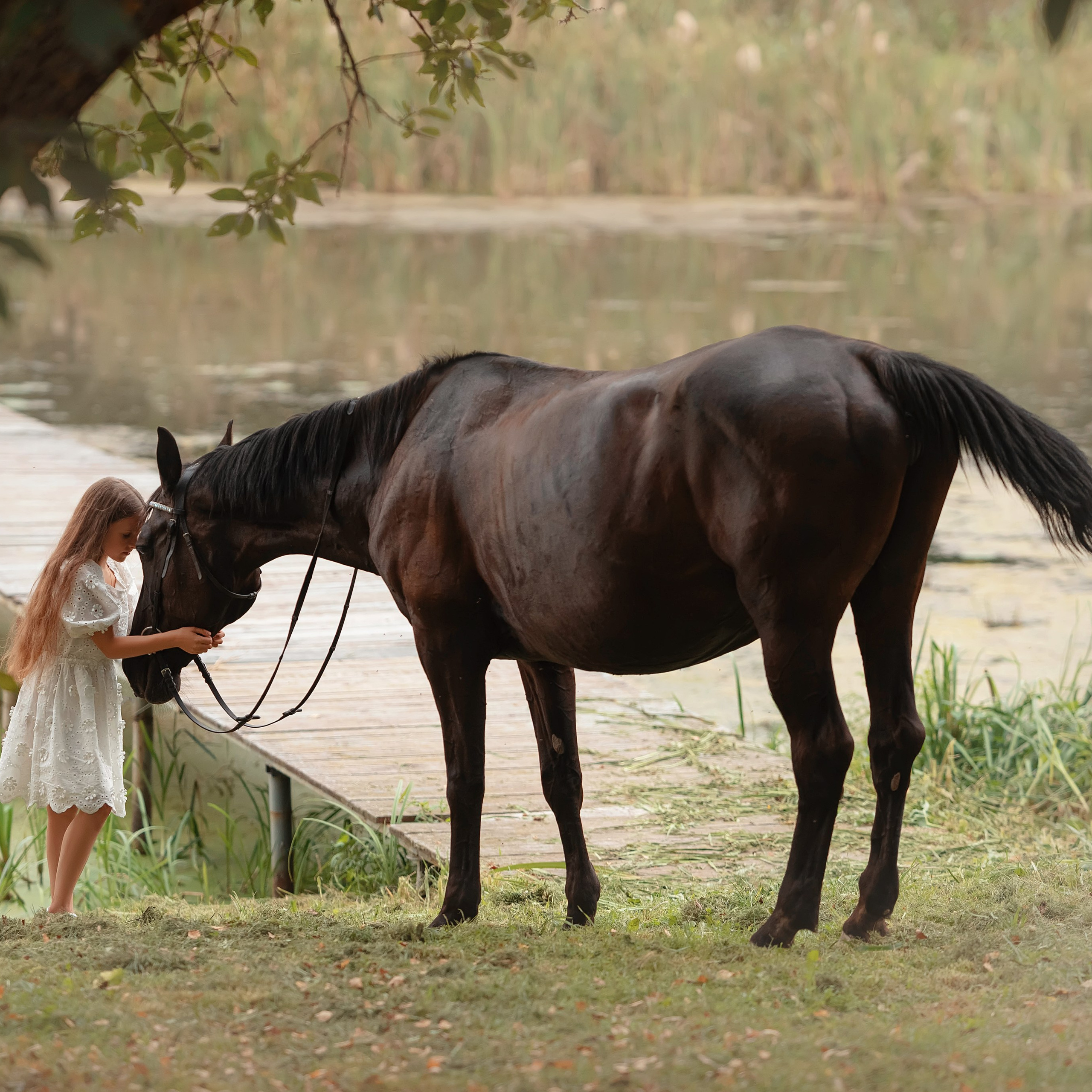 Отзывы. Фотограф Вероника Ранцева, фотосессии с лошадьми в Минске и Могилеве