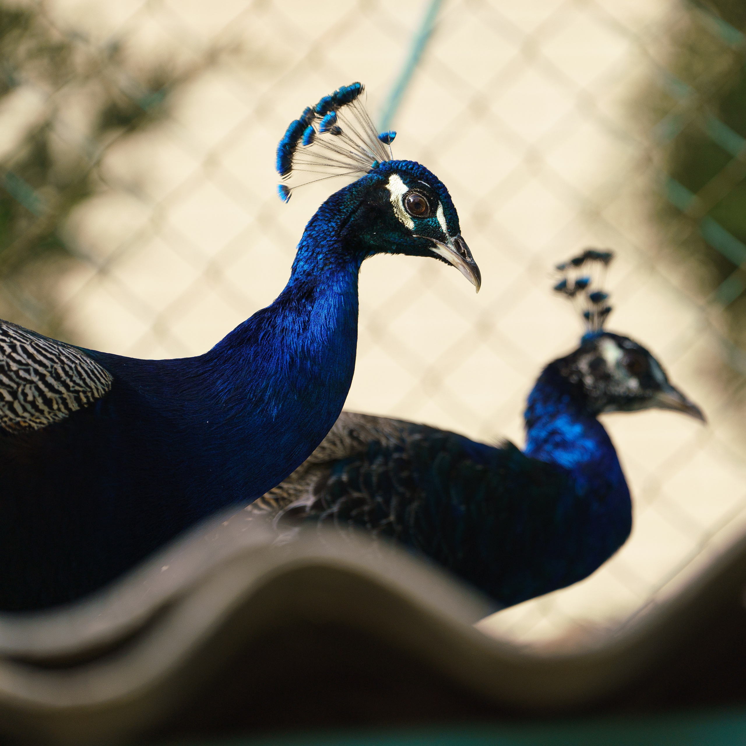 Узбекистан