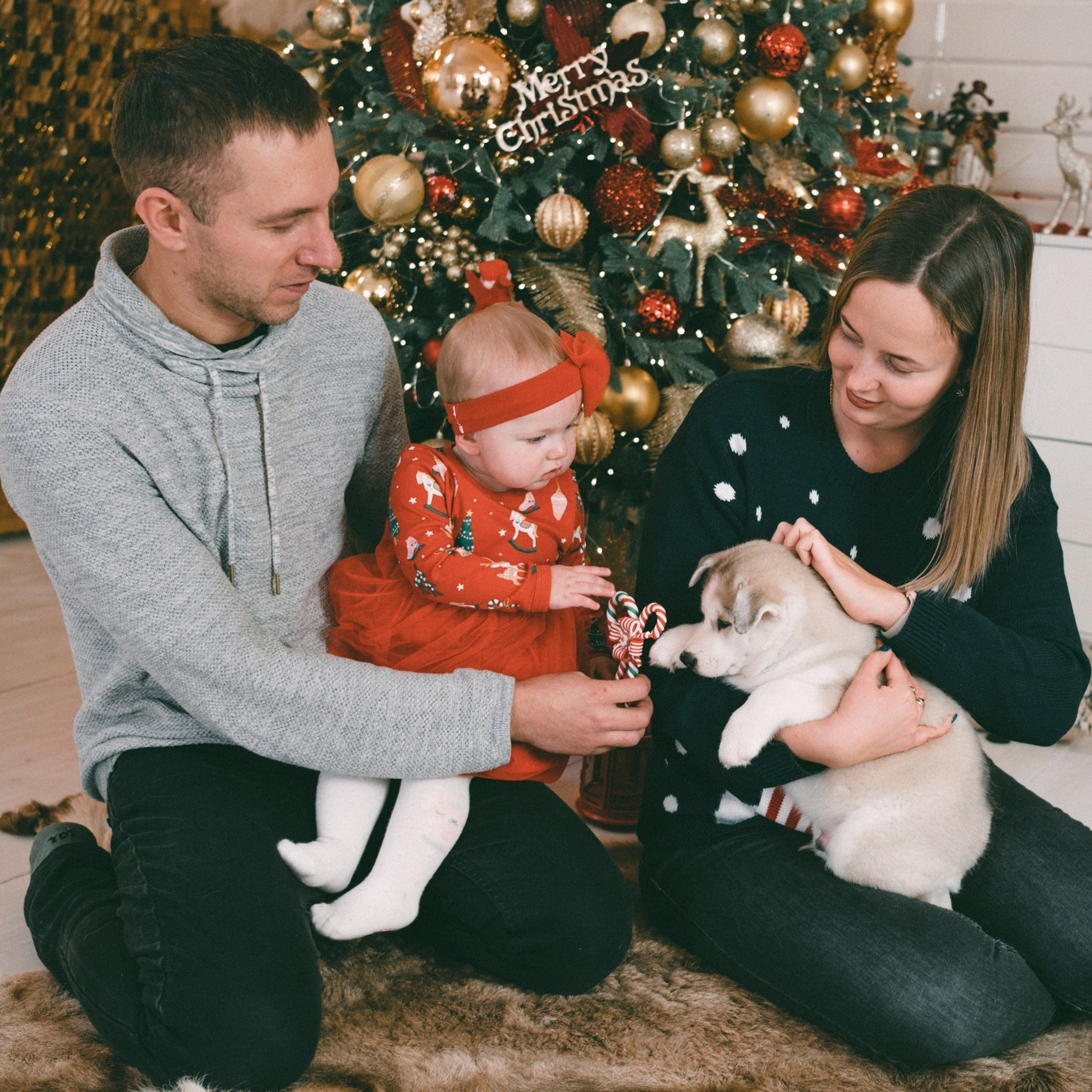 Отзывы. Детский и семейный фотограф Ольга Беляева