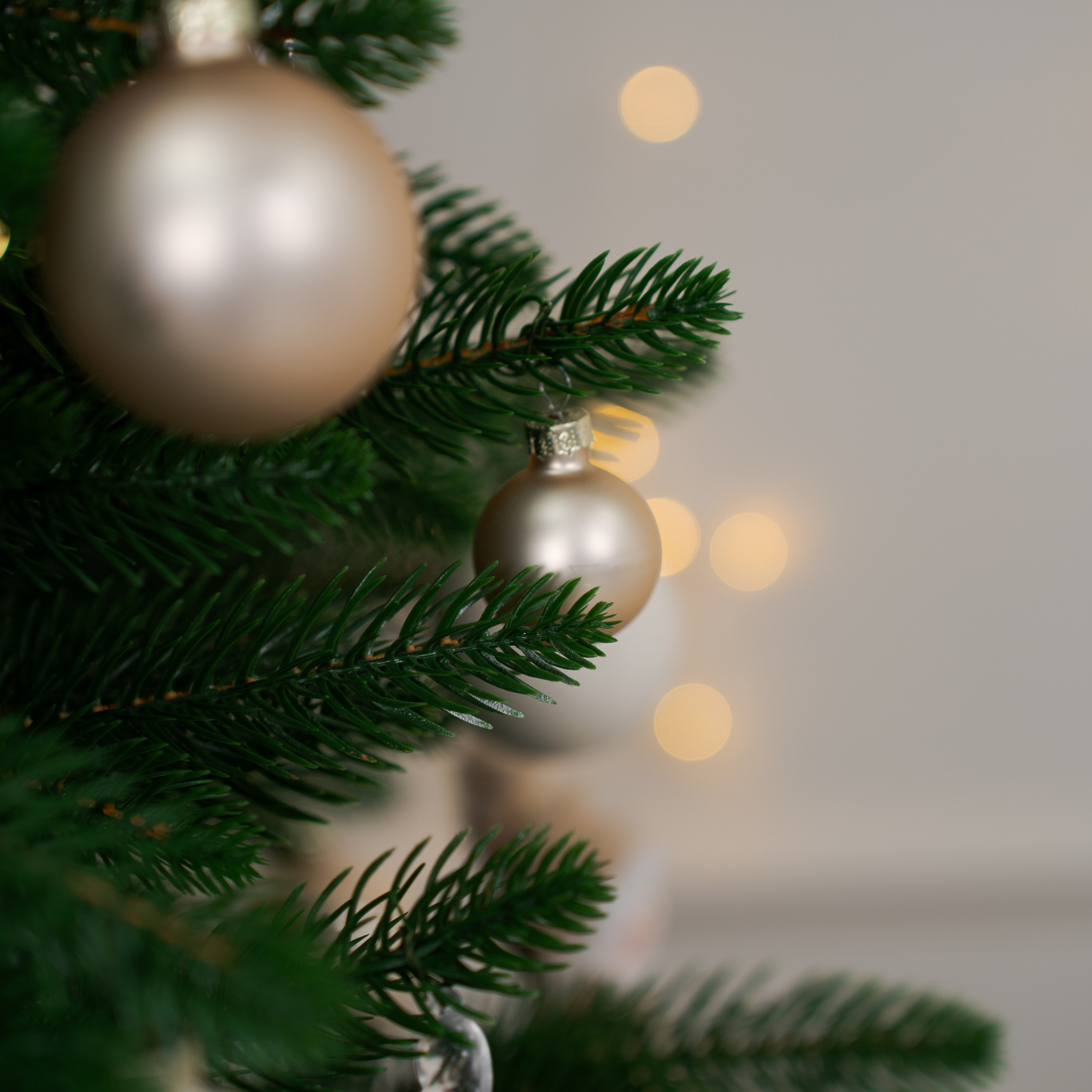 PURE PHOTO STUDIO Аренда фотостудии с циклорамой в Москве. Фотограф в Москве Ксения Насокина