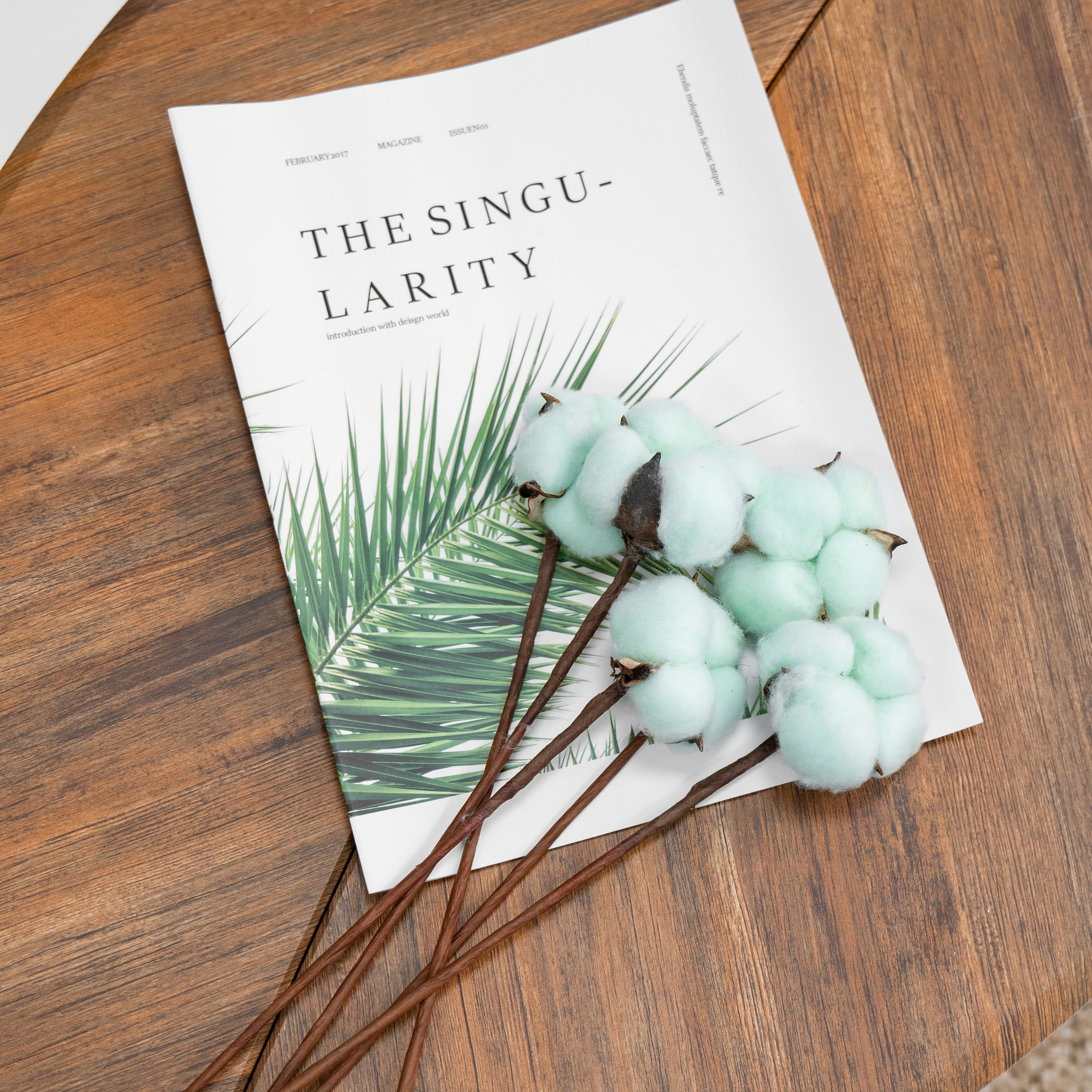 PURE PHOTO STUDIO Аренда фотостудии с циклорамой в Москве. Фотограф в Москве Ксения Насокина