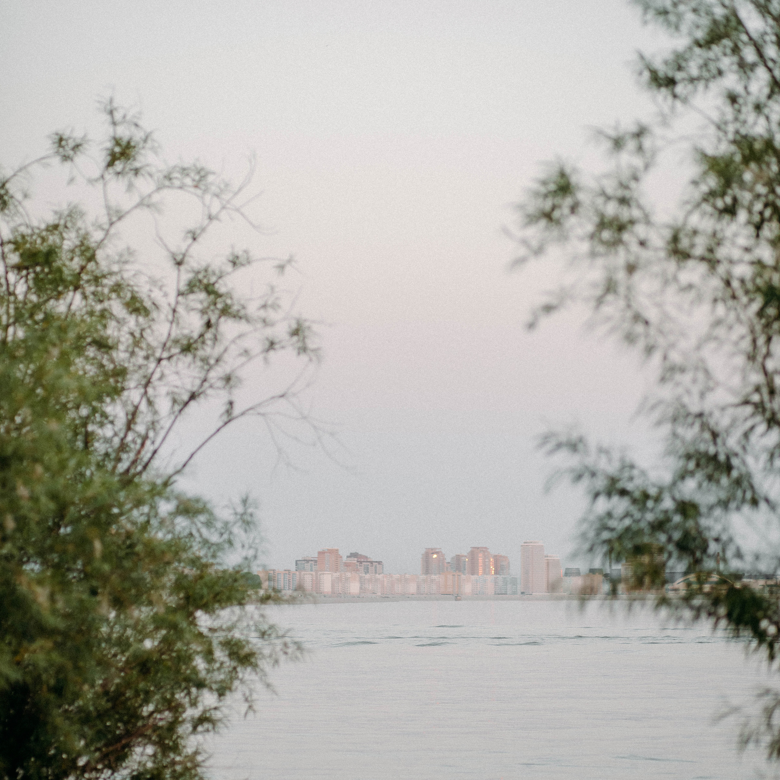 ЛУЧШИЕ ПОДРУГИ