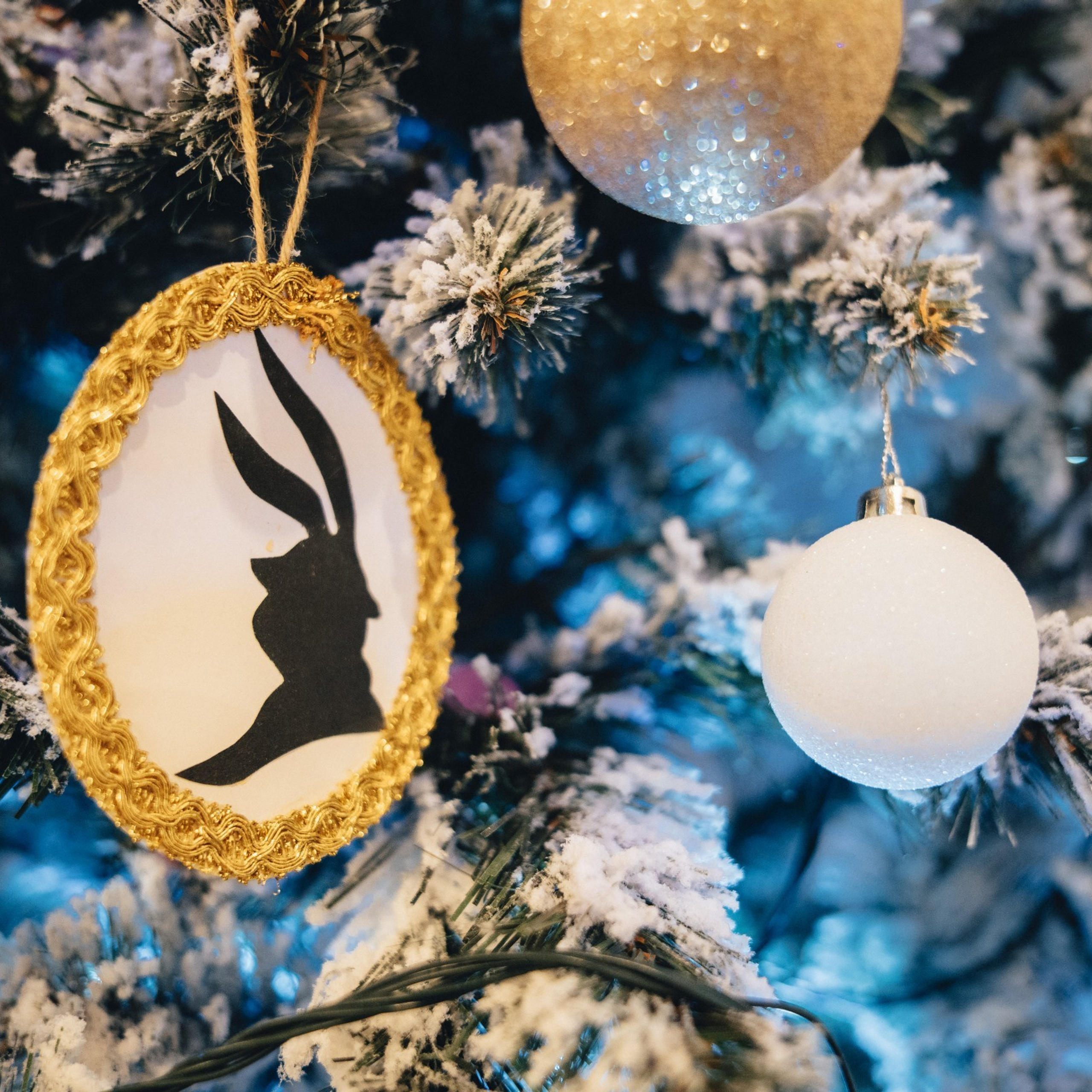 Фотограф Андрей Карбуков. Фотограф в Москве