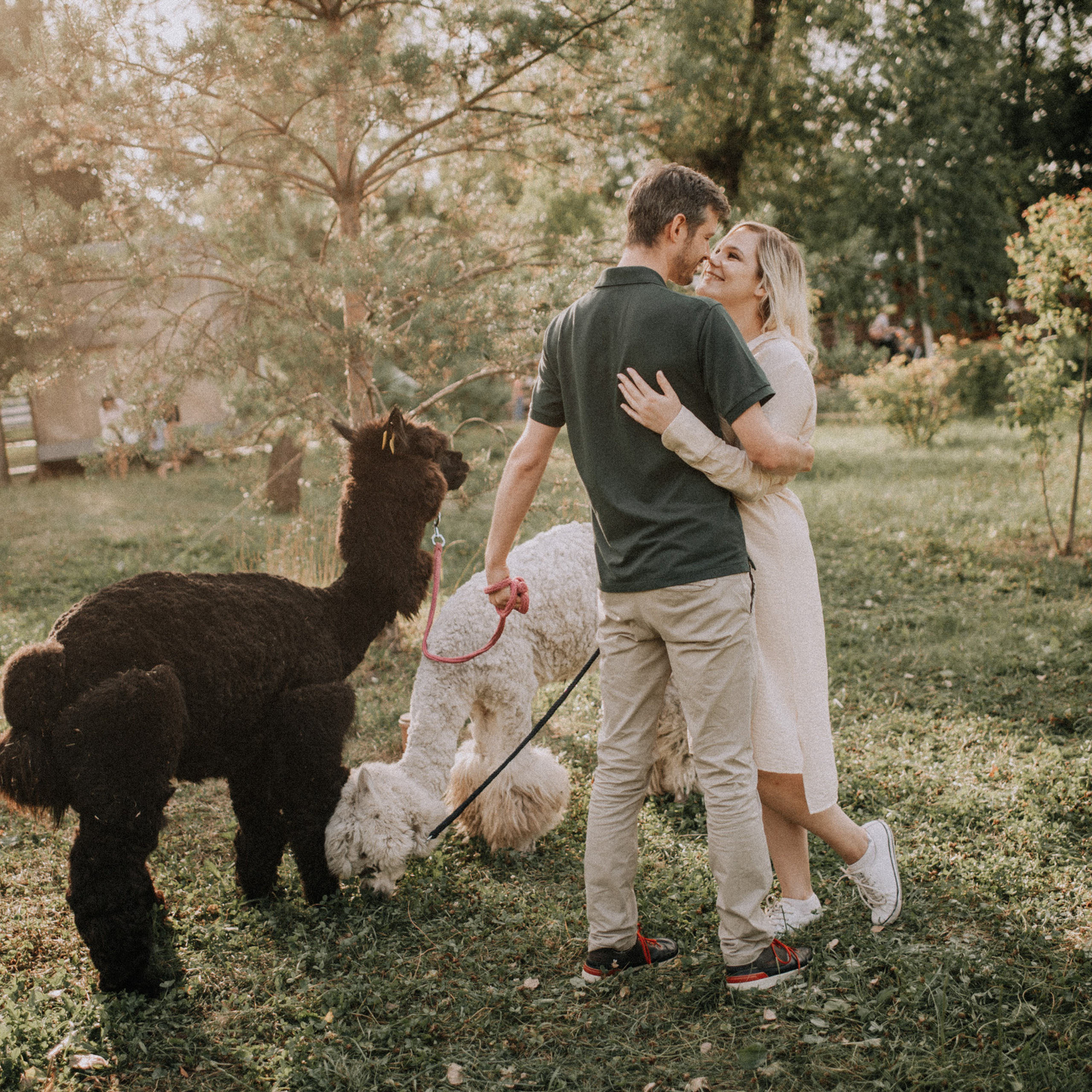 Отзывы. Афина Ефимова. Свадебный фотограф Москва