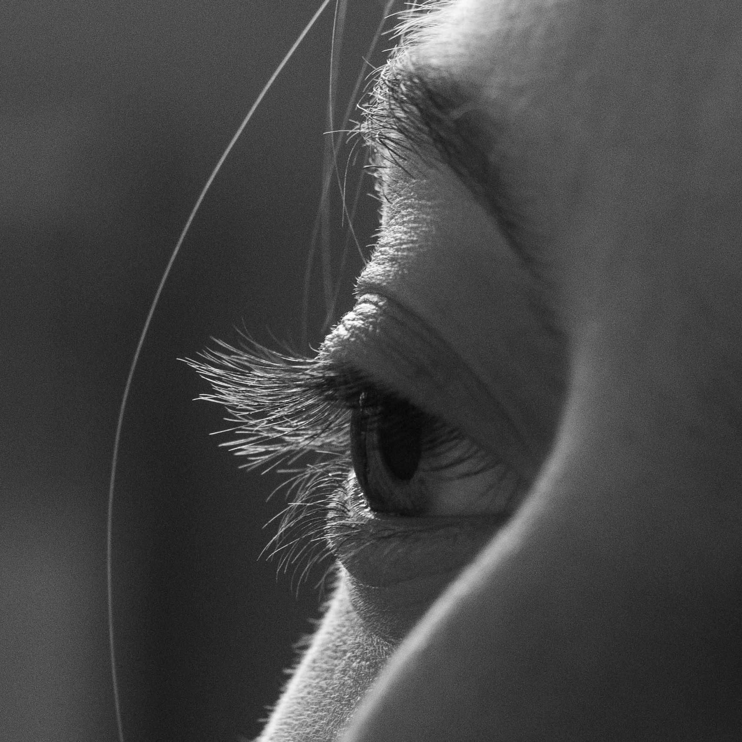 Детали с Аней