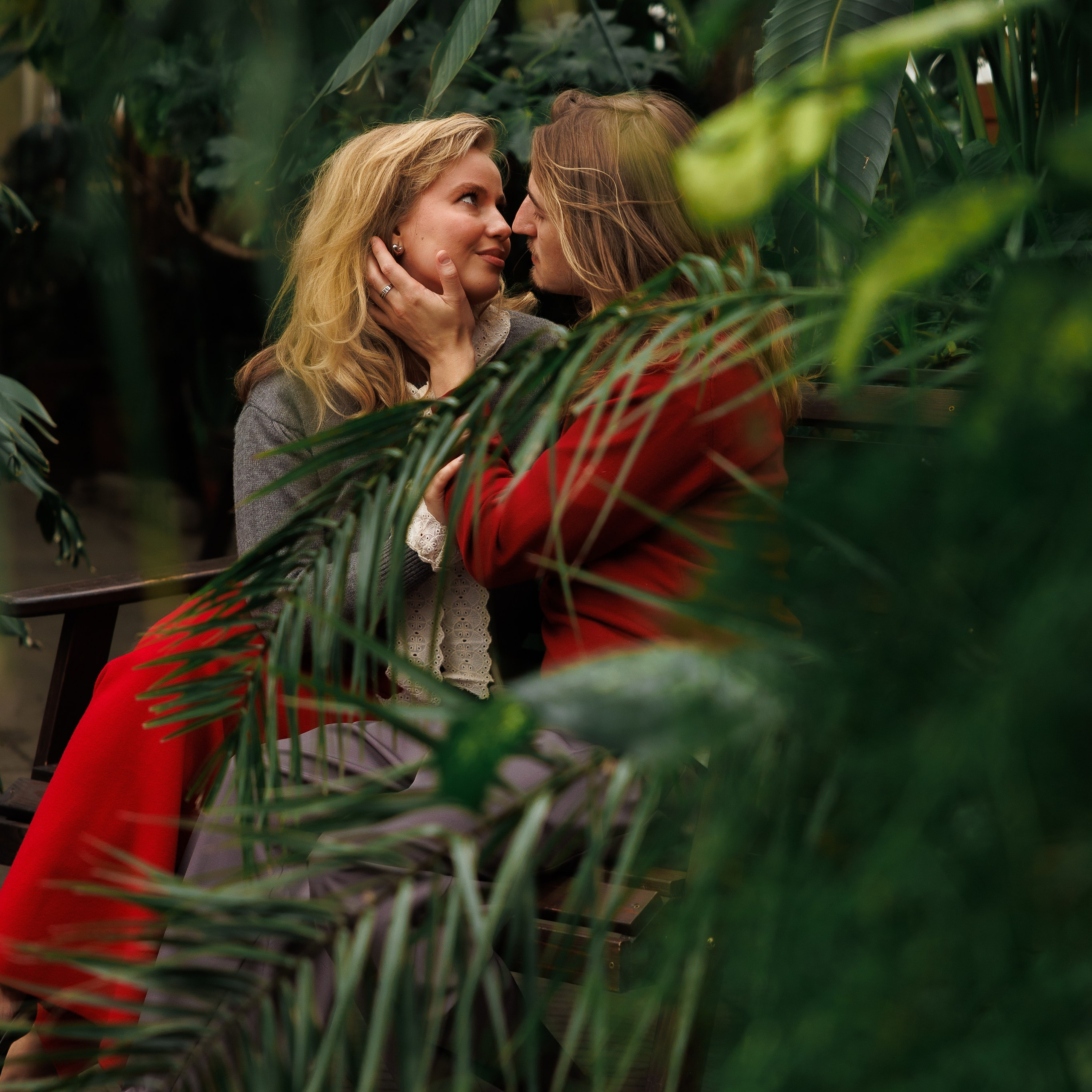 Предложение в&nbsp;оранжерее