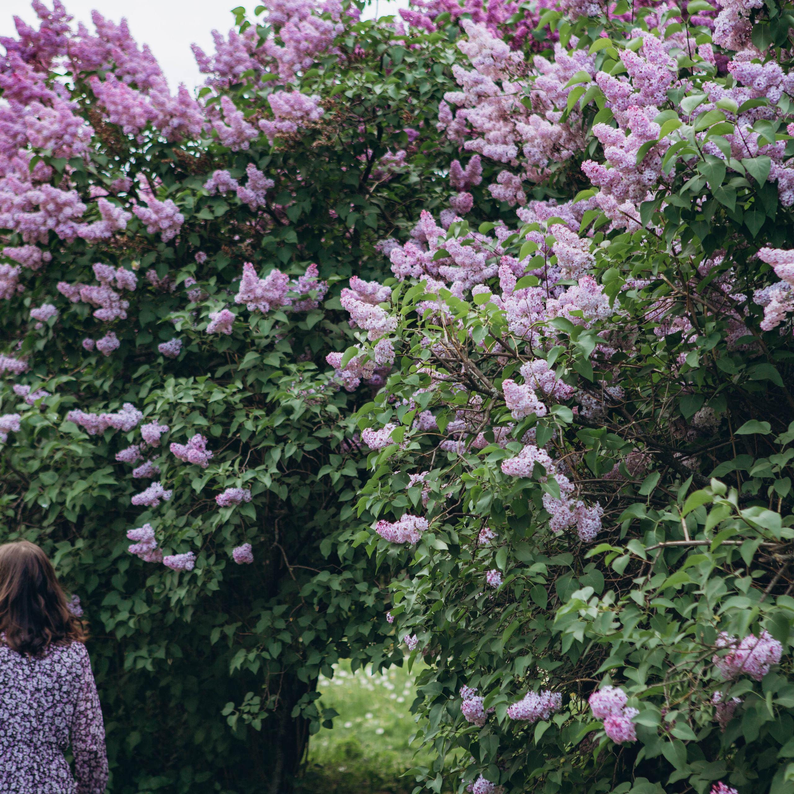Отзывы. Портретный женский фотограф в Москве Наталия Глазова