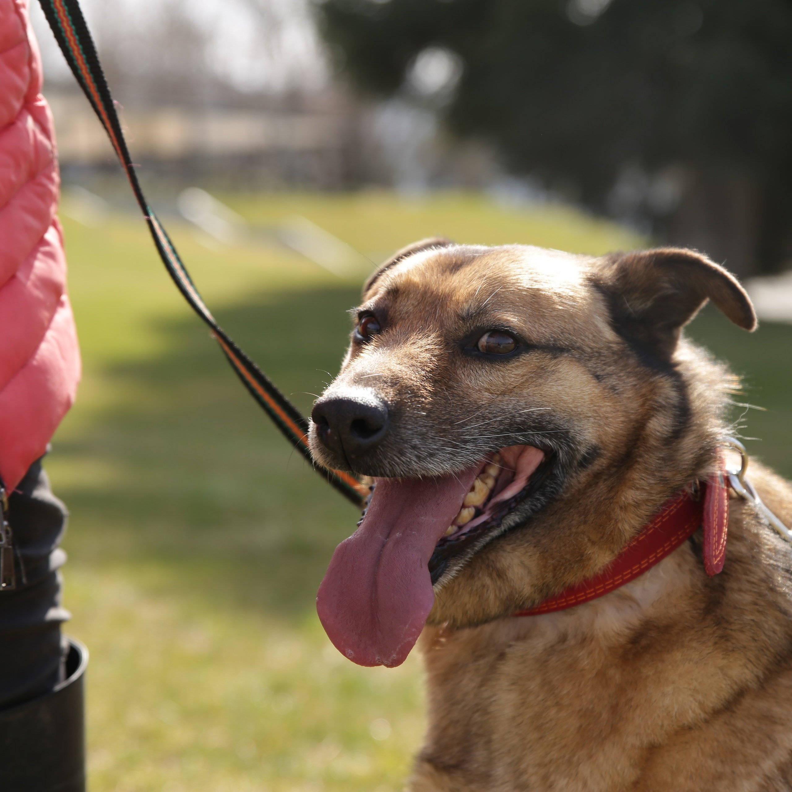Отзывы. Свадебный и контент фотограф в Севастополе и Крыму Марина Данилова