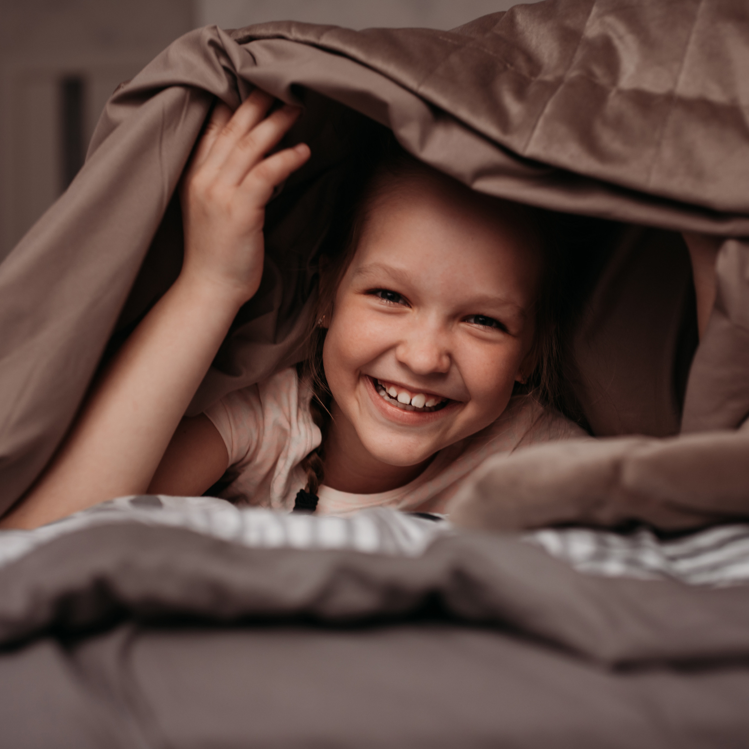 Домашняя история