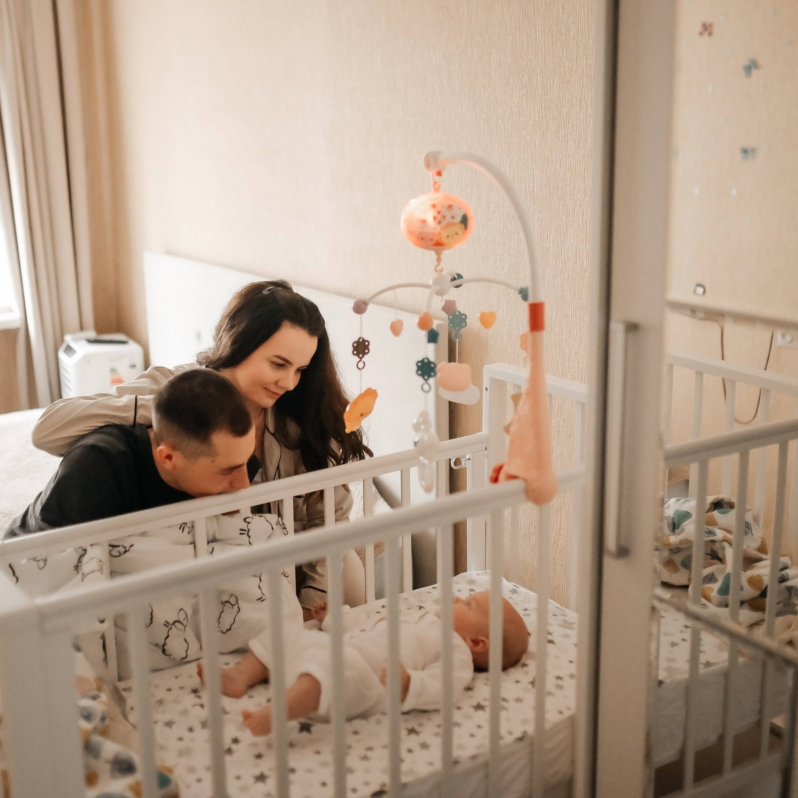 Домашняя история