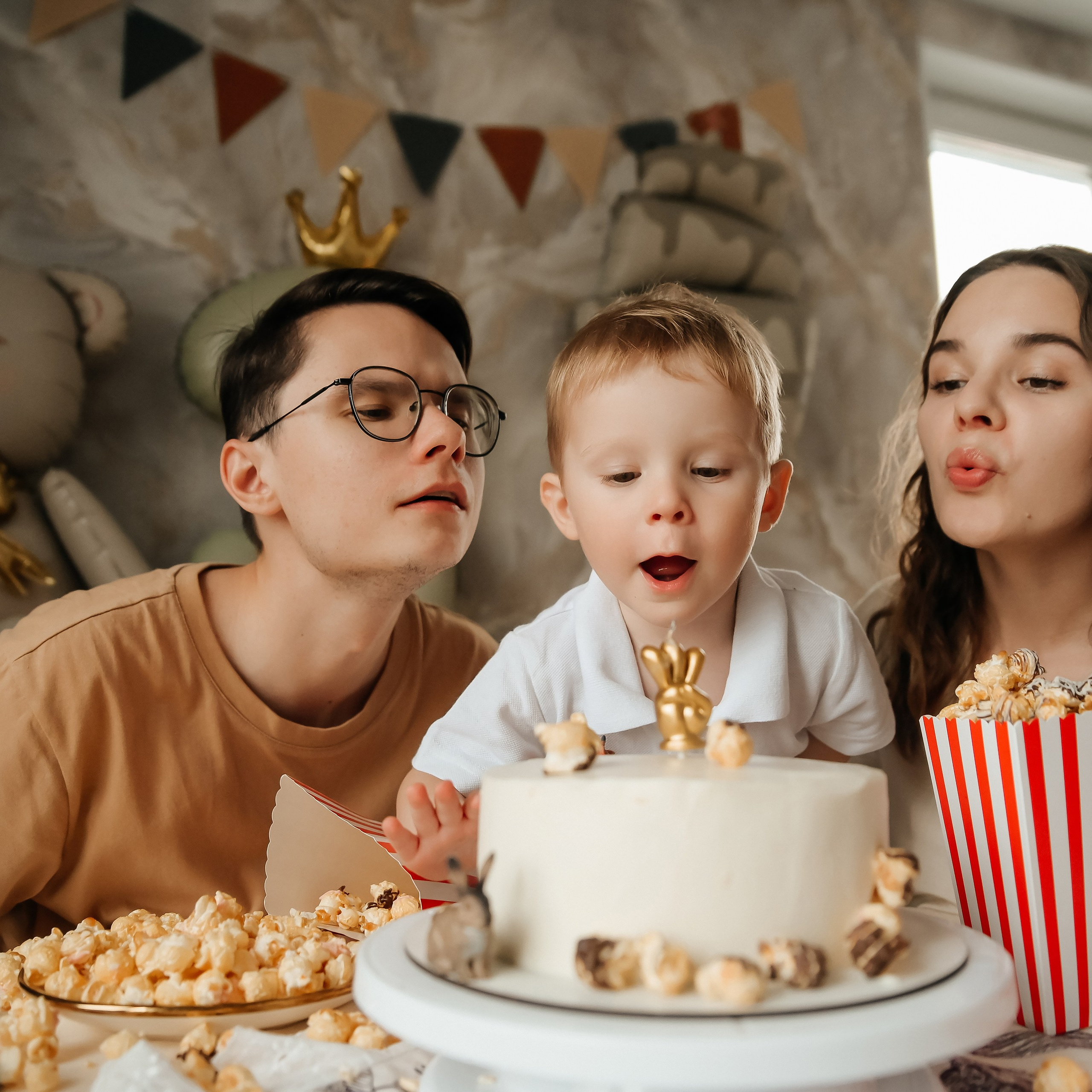 Домашняя история