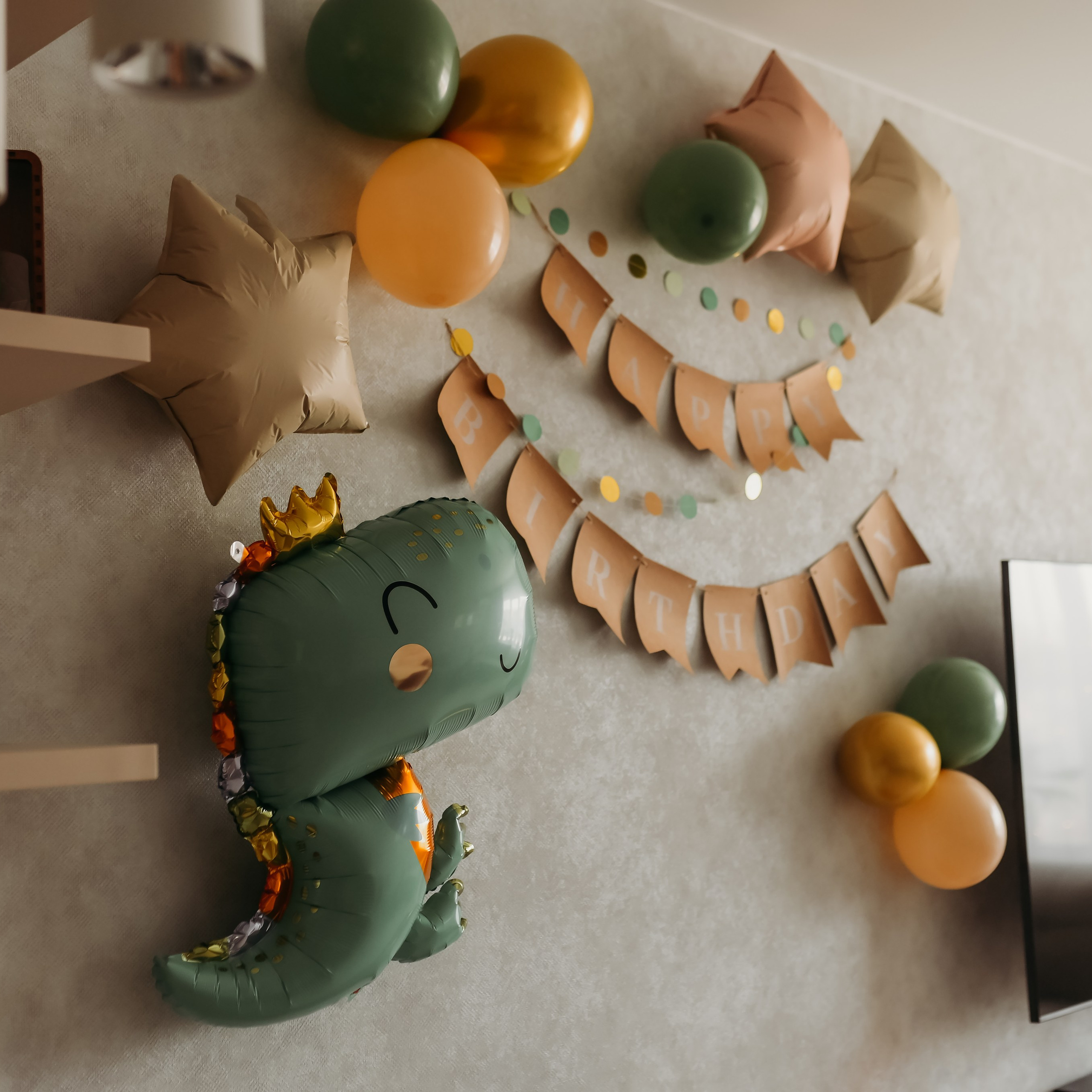 Домашняя история