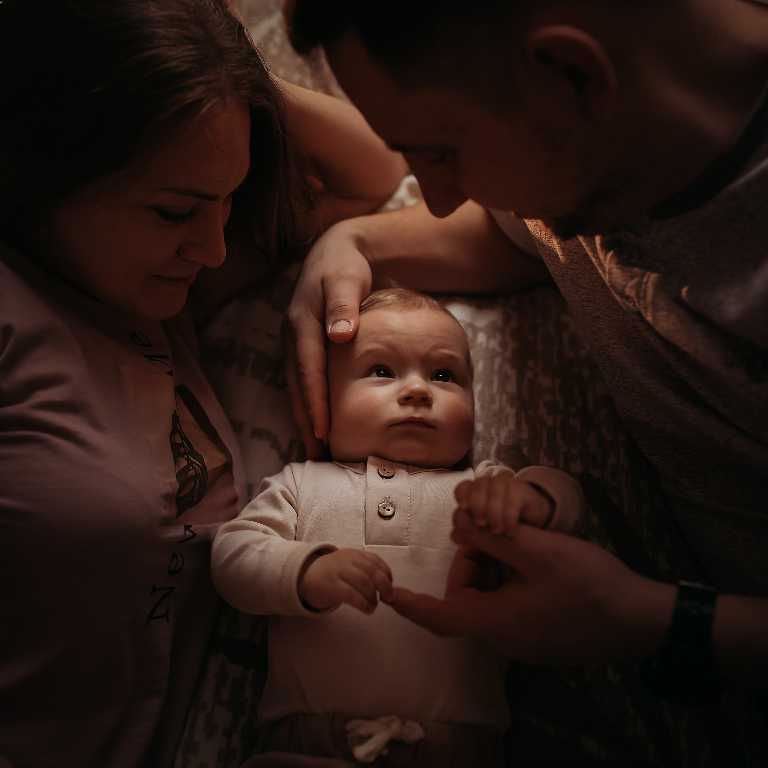 Домашняя история