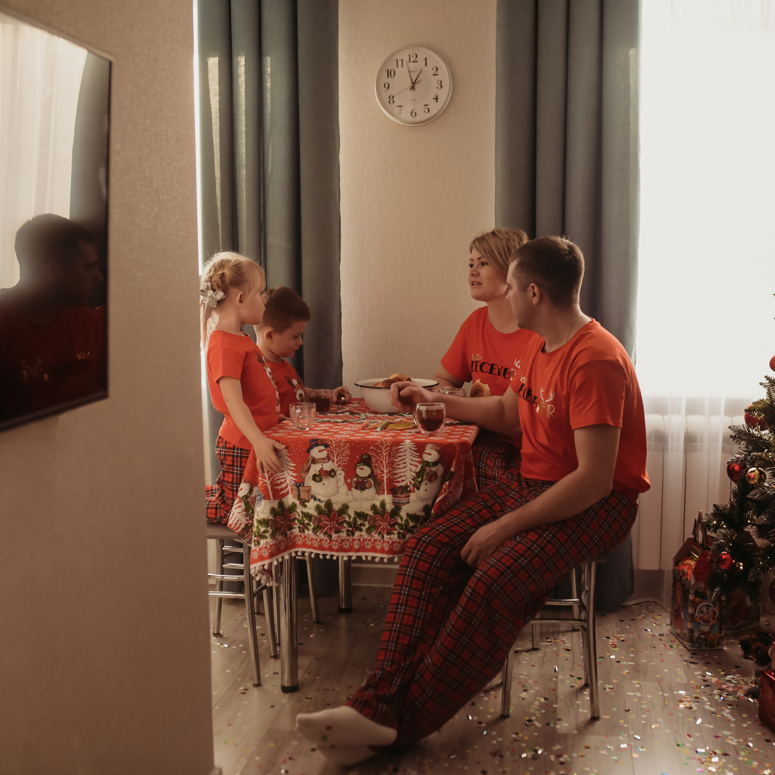 Домашняя история