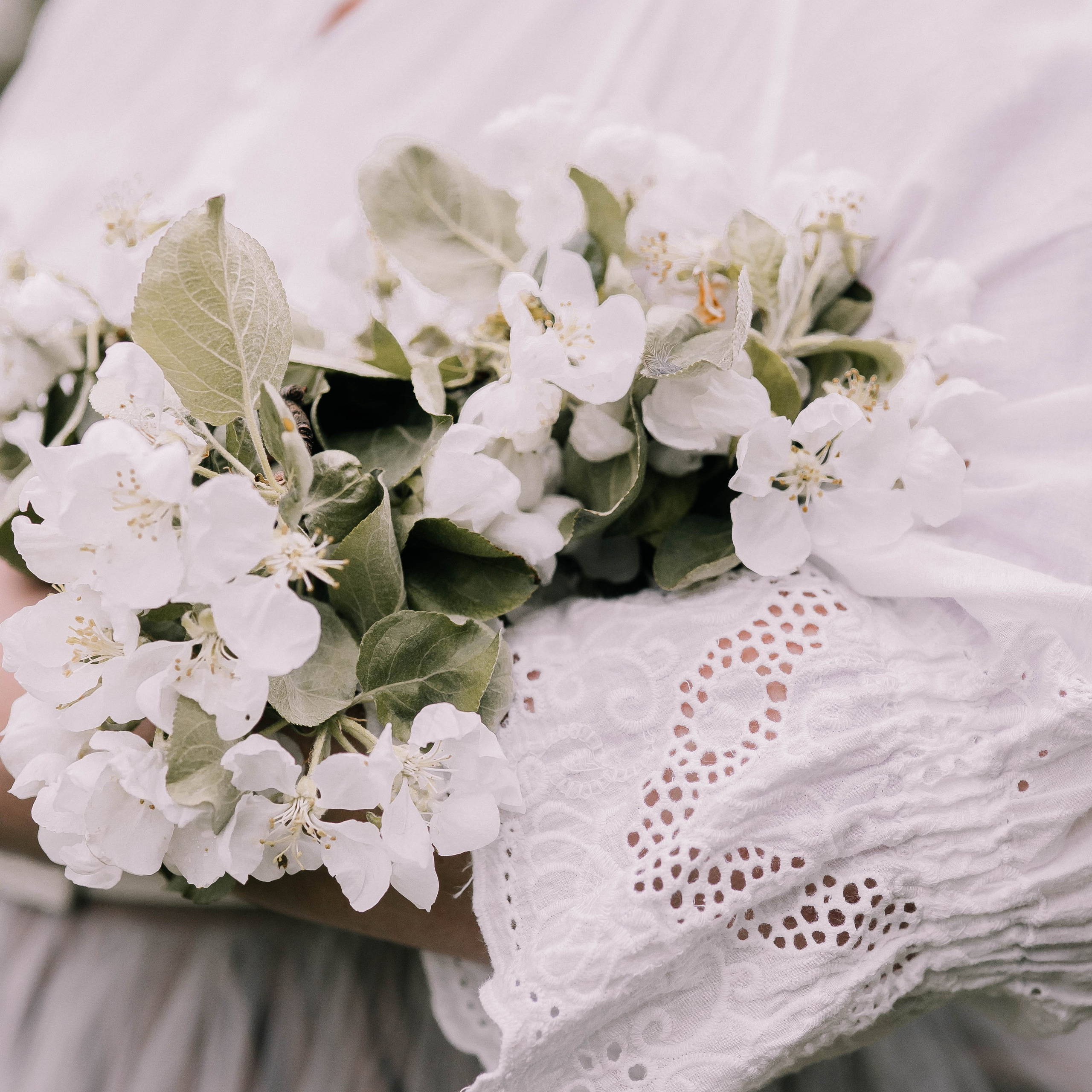 Цветение: путешествие в весну