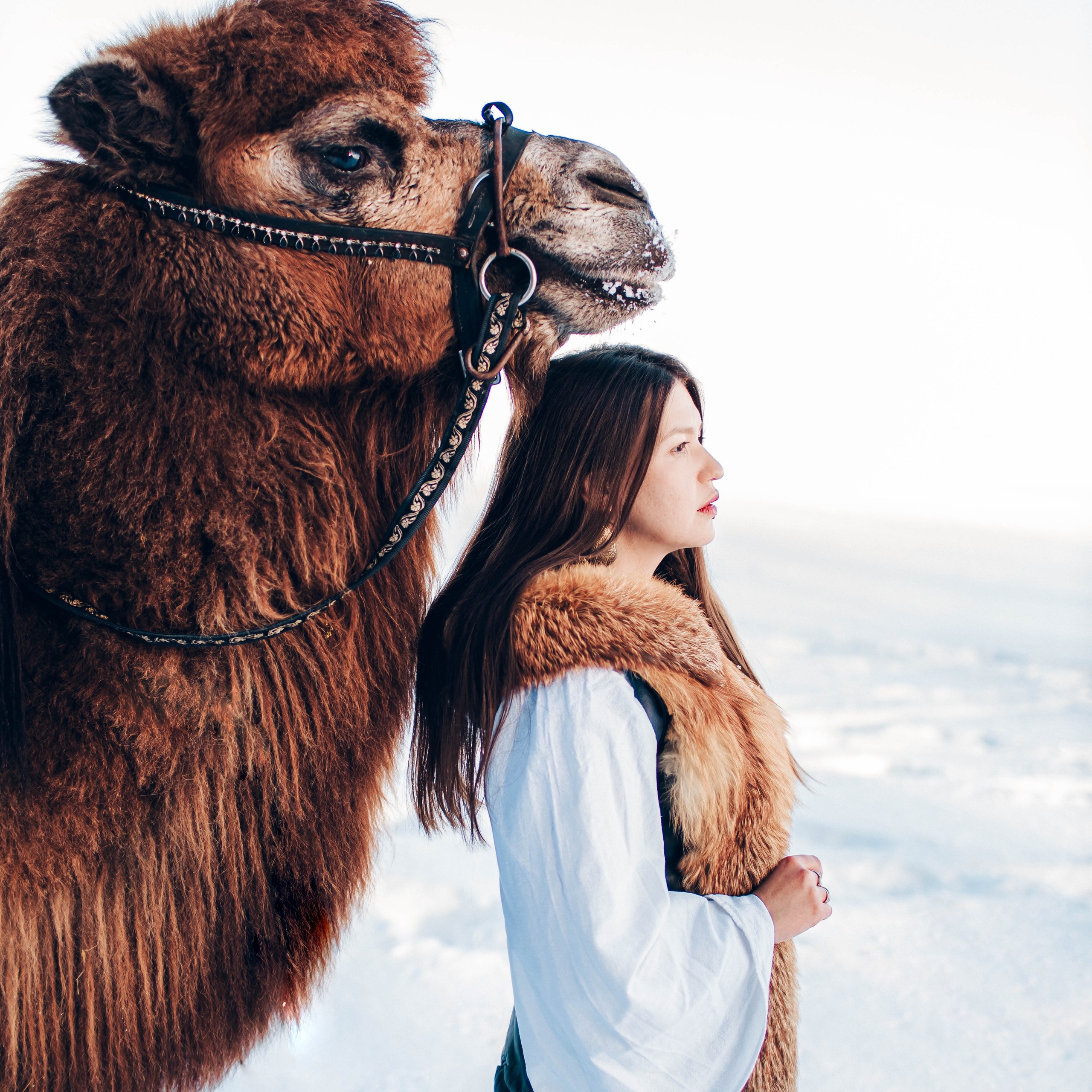 Леденящее приключение