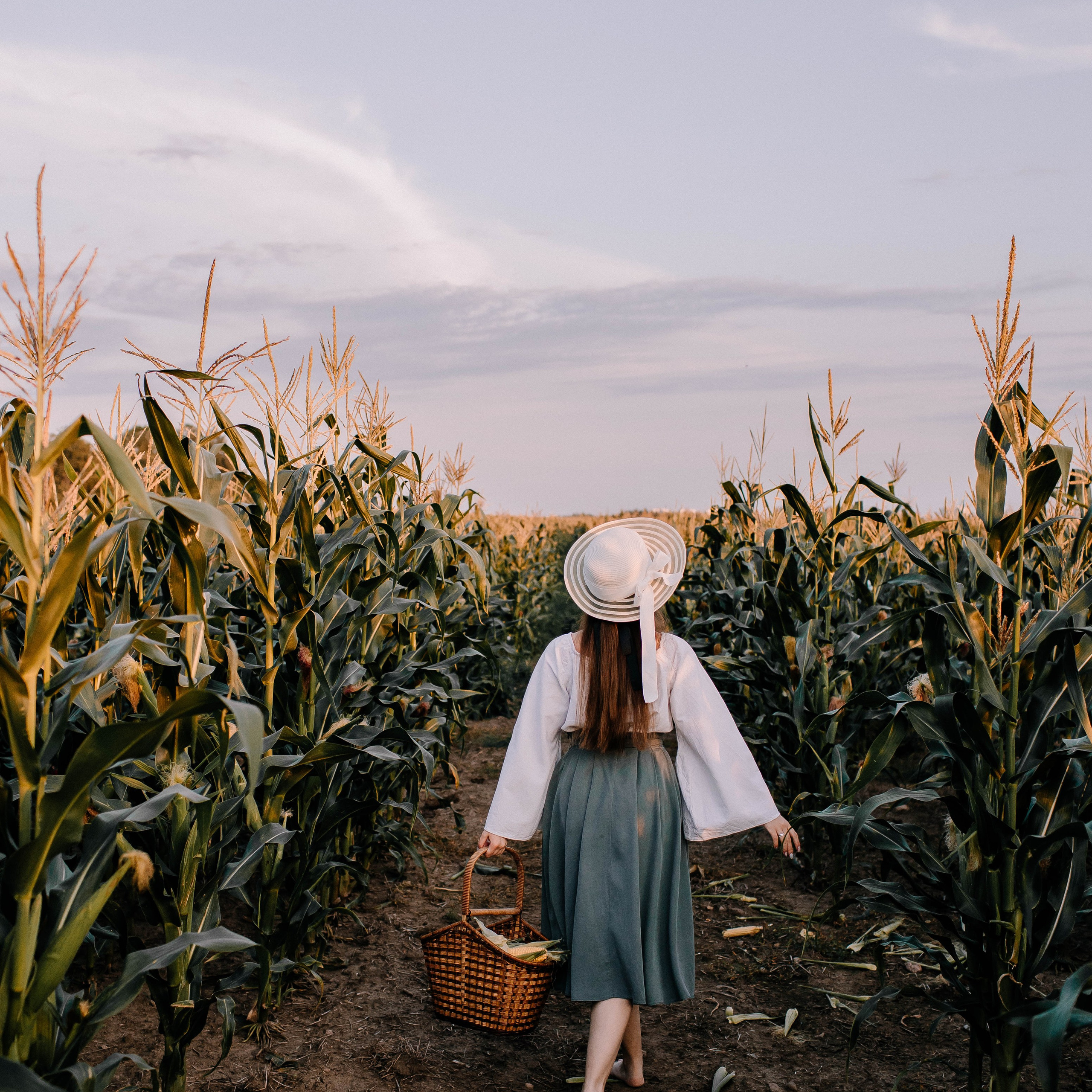 Кукурузные истории