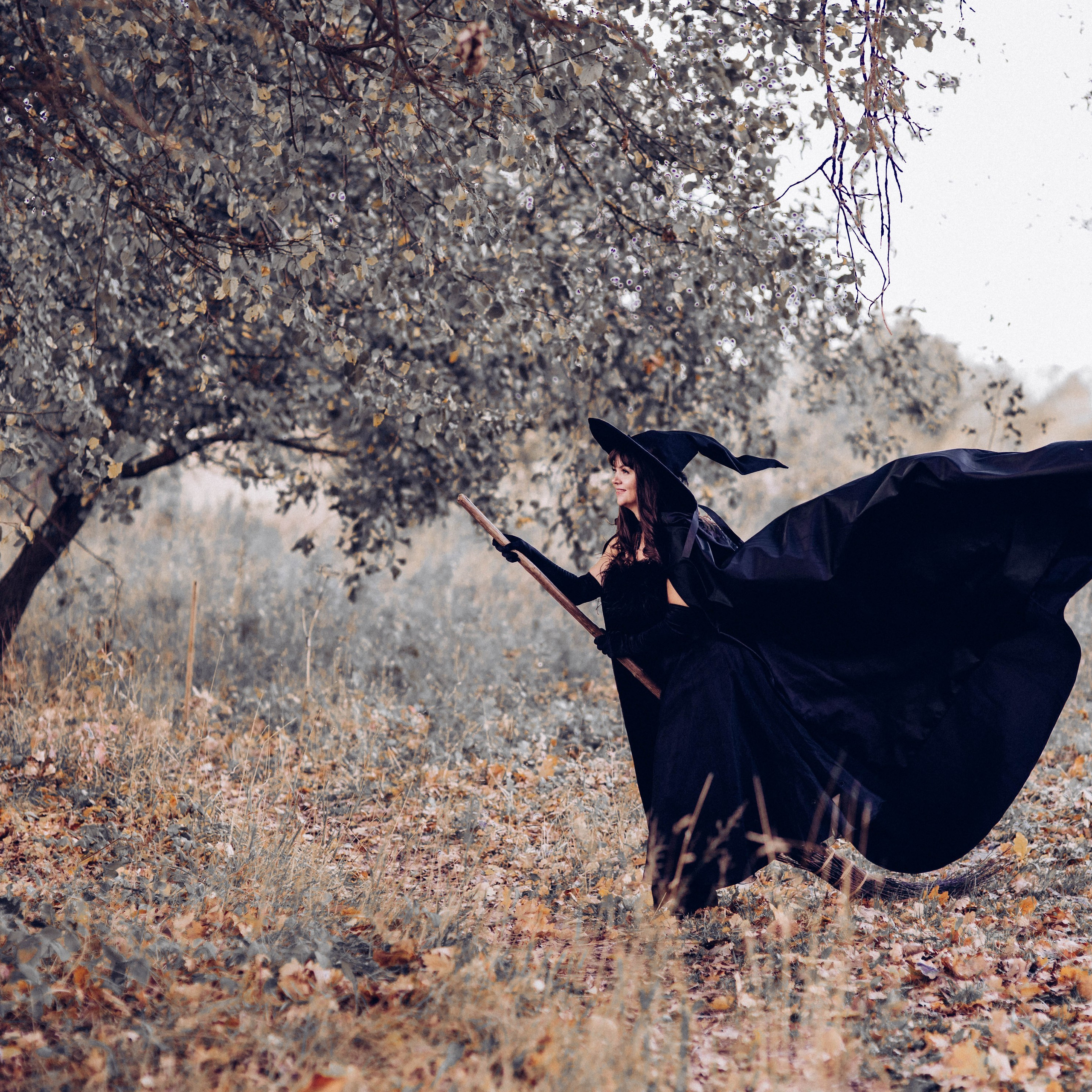 Отзывы. Фотосессии Фотодни Псков СПб