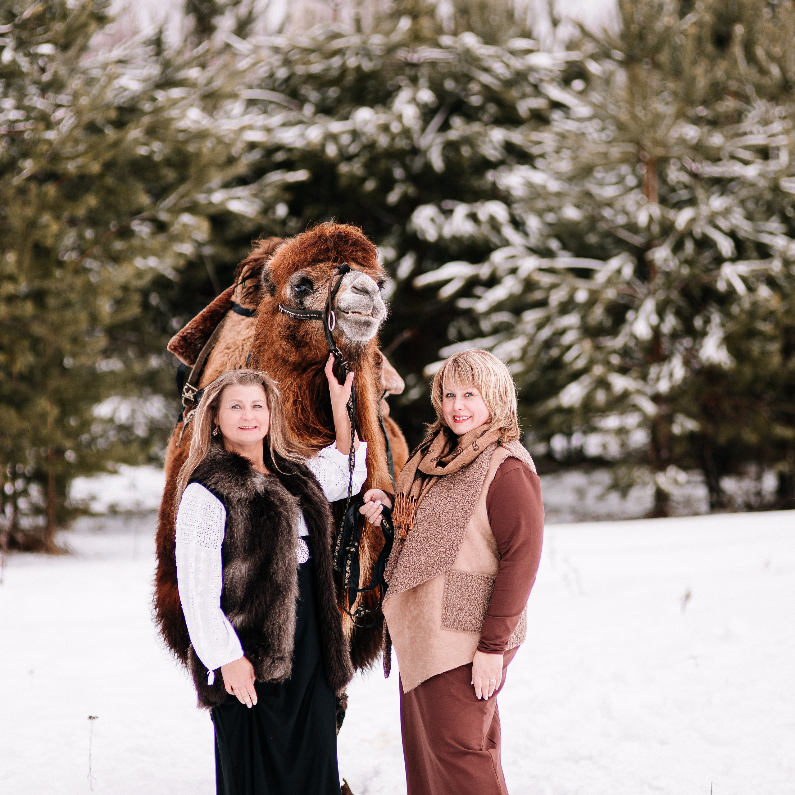 Отзывы. Фотосессии Фотодни Псков СПб