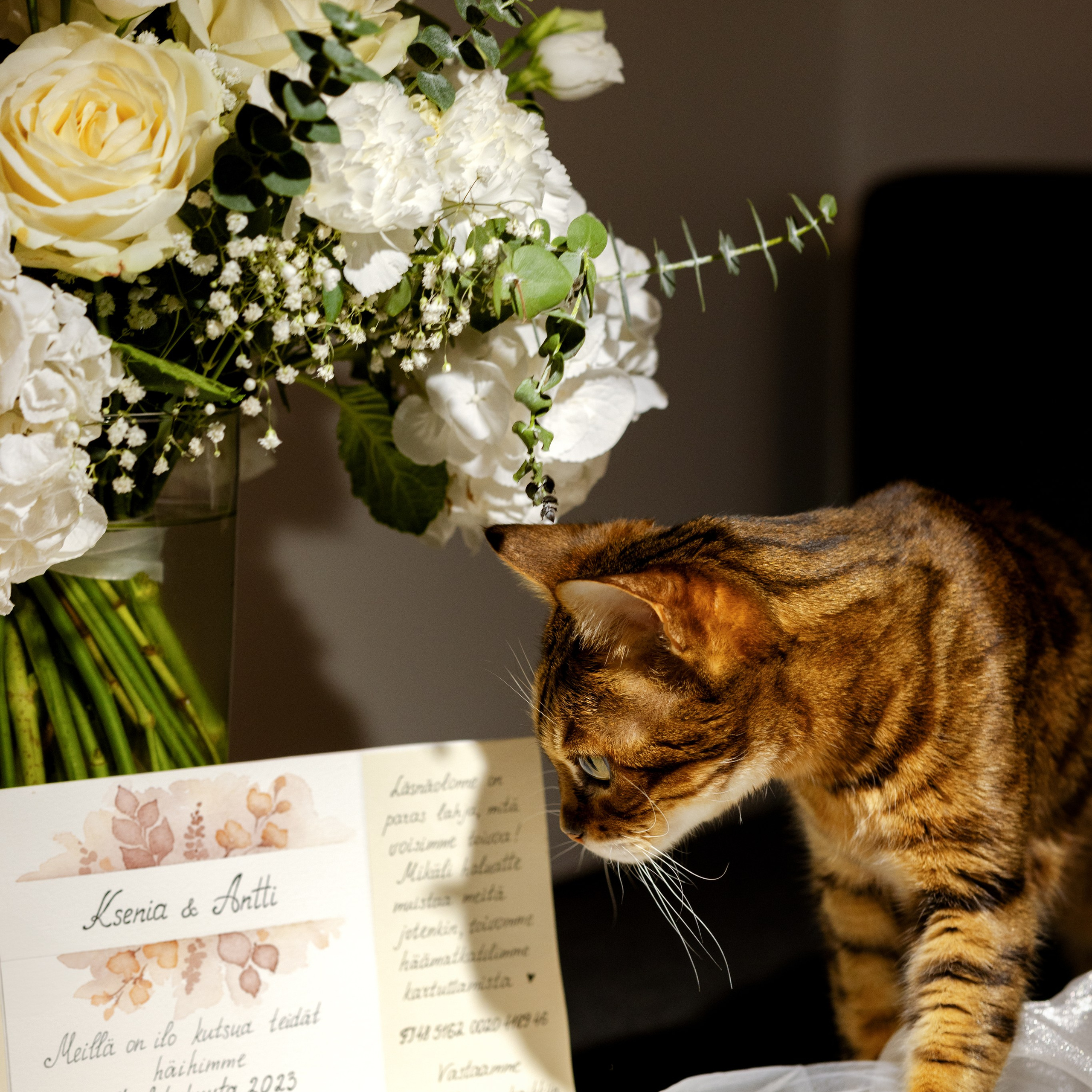 Ксения & Антти