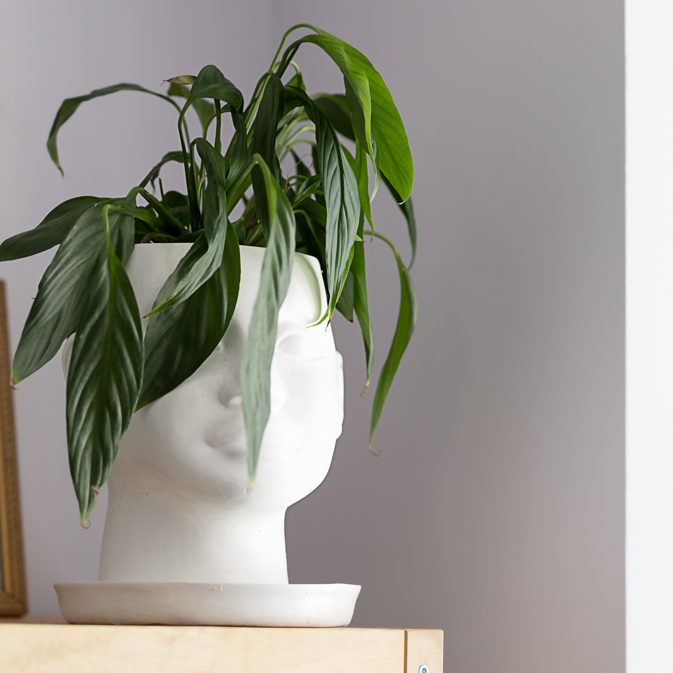 Отзывы. Портретная и индивидуальная фотосъёмка в Граце и Тюмени