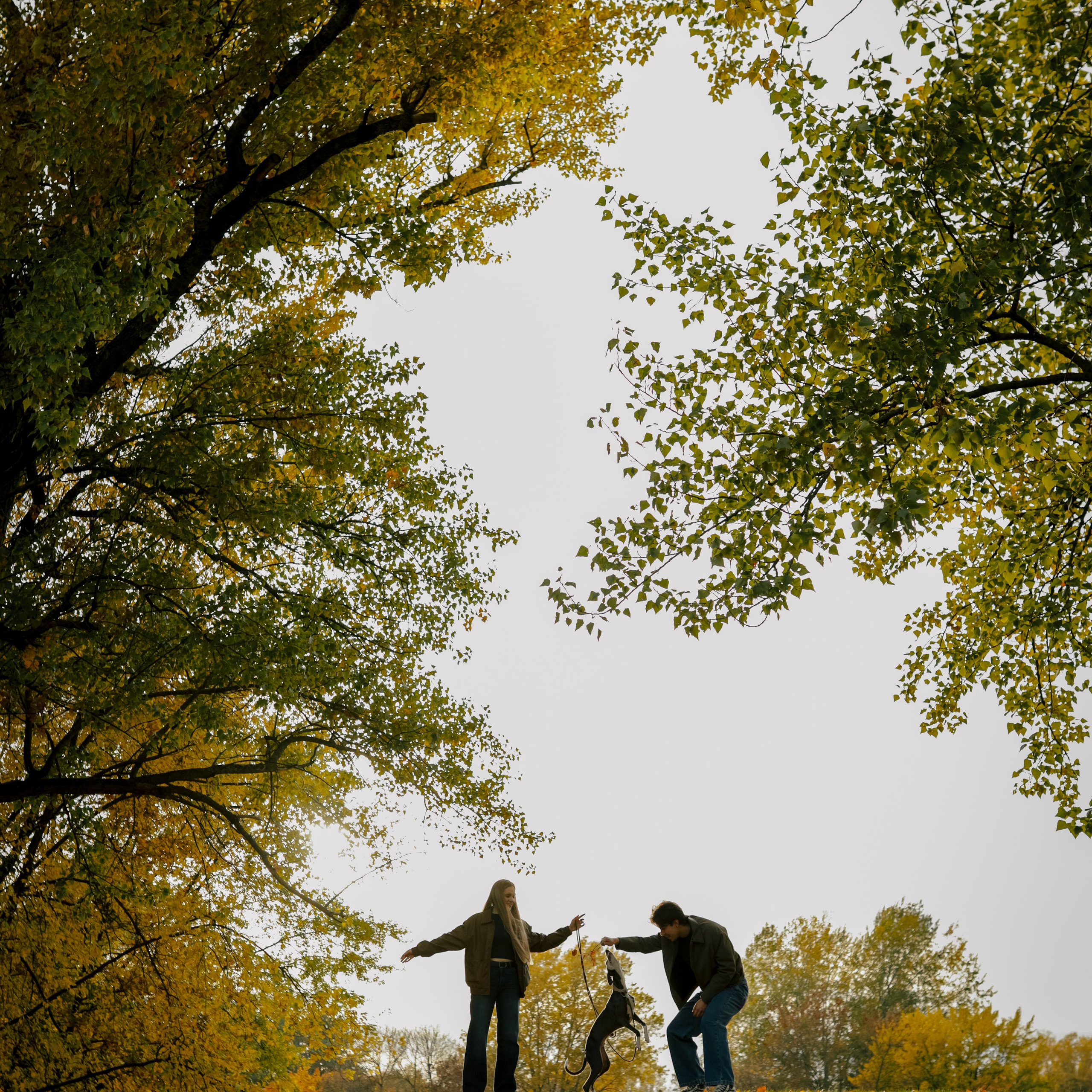 Первая осень Йотуна