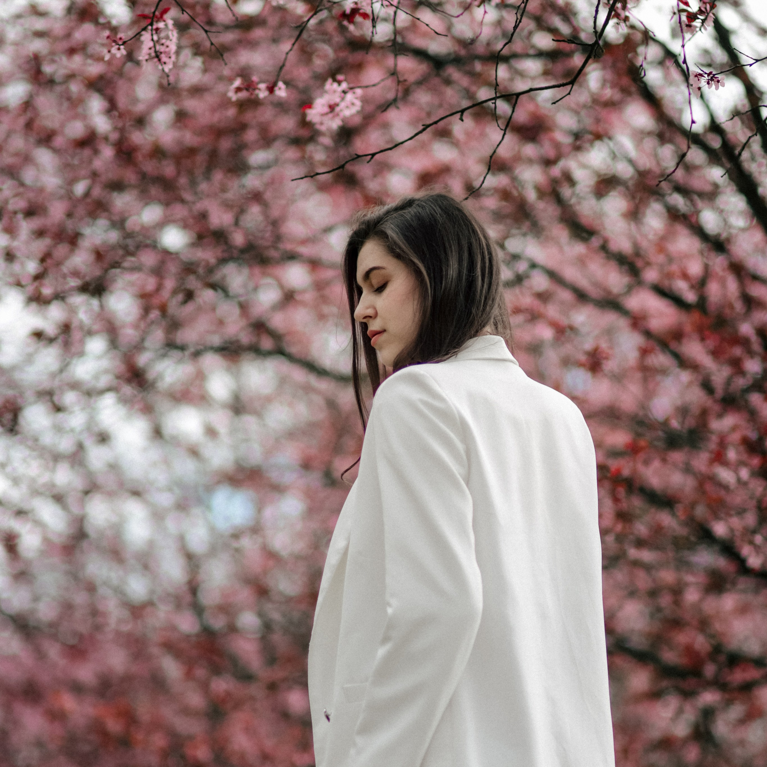 Цвет города