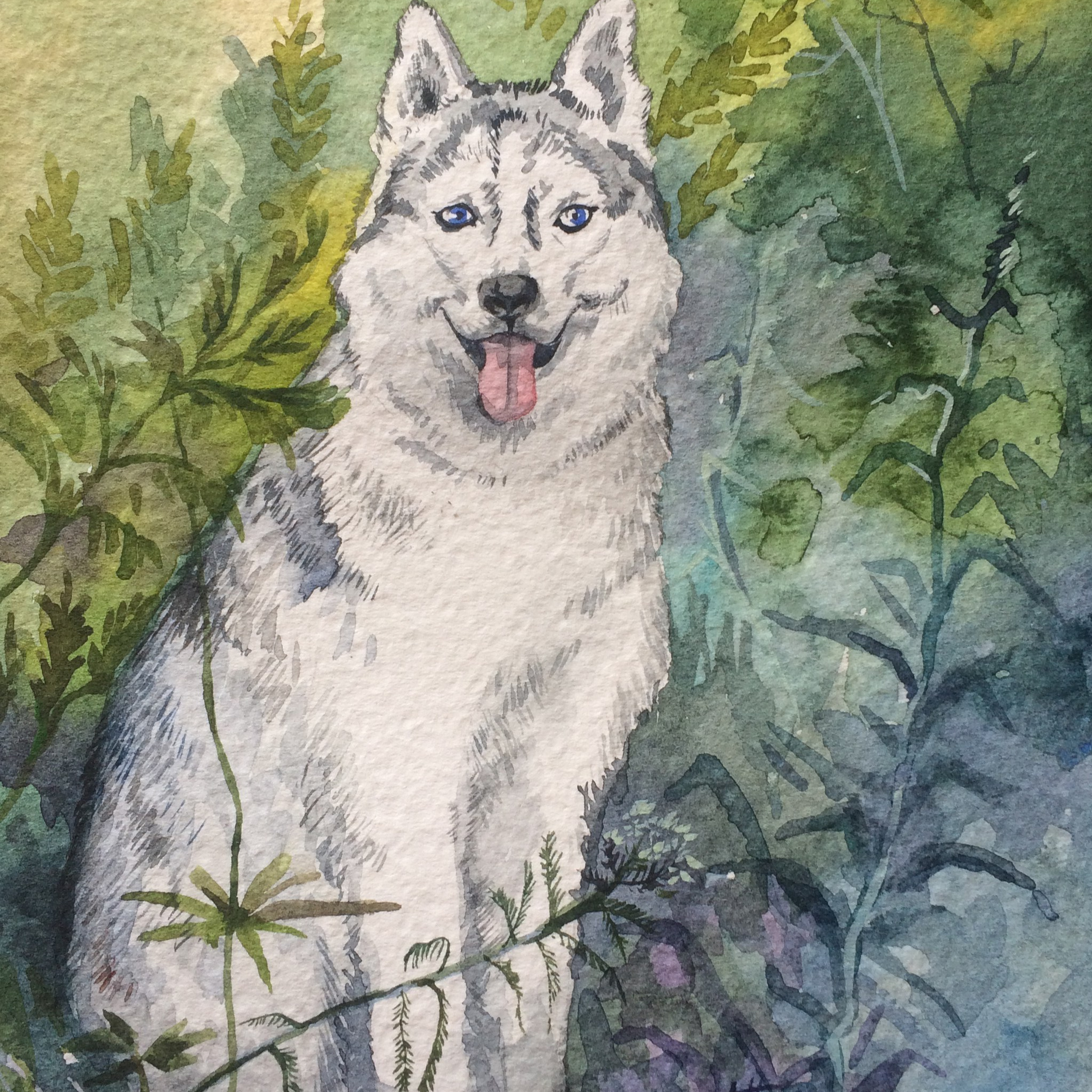 «Хаски». Акварель, 12х18 см., 2021. В частной коллекции