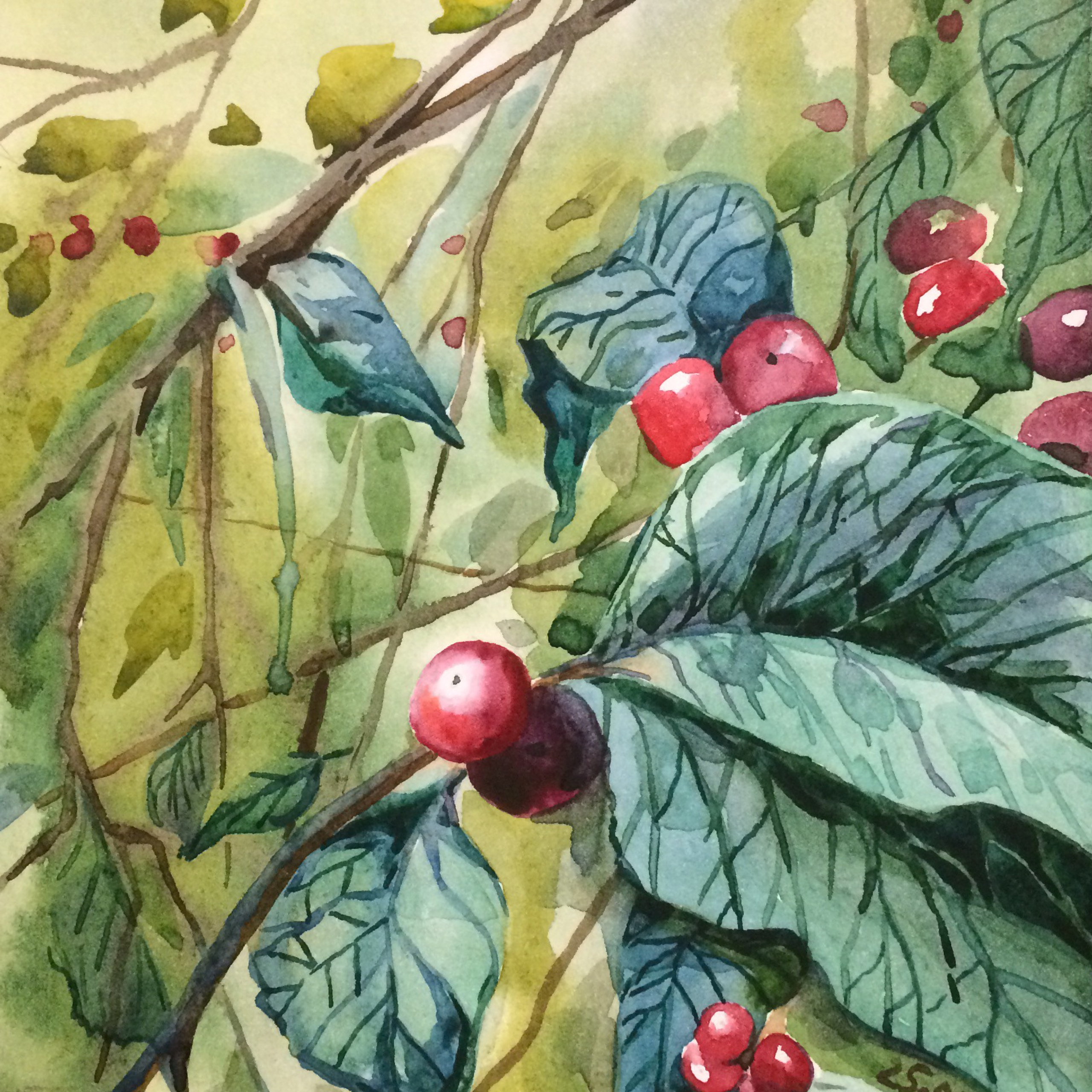 Акварель. Прекраснова. Prekrasnova