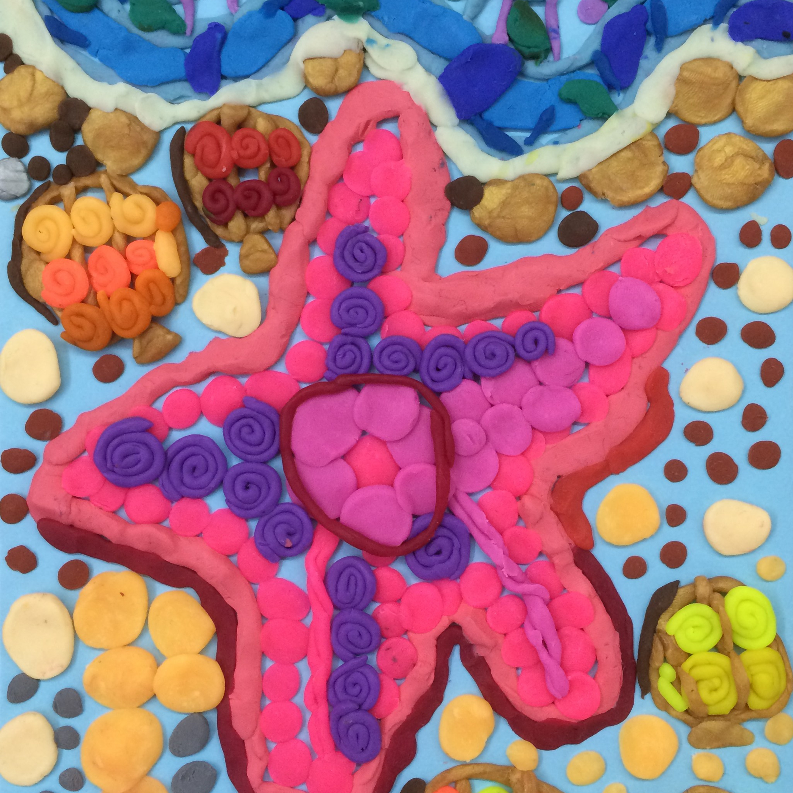 Полунина София, 8 лет