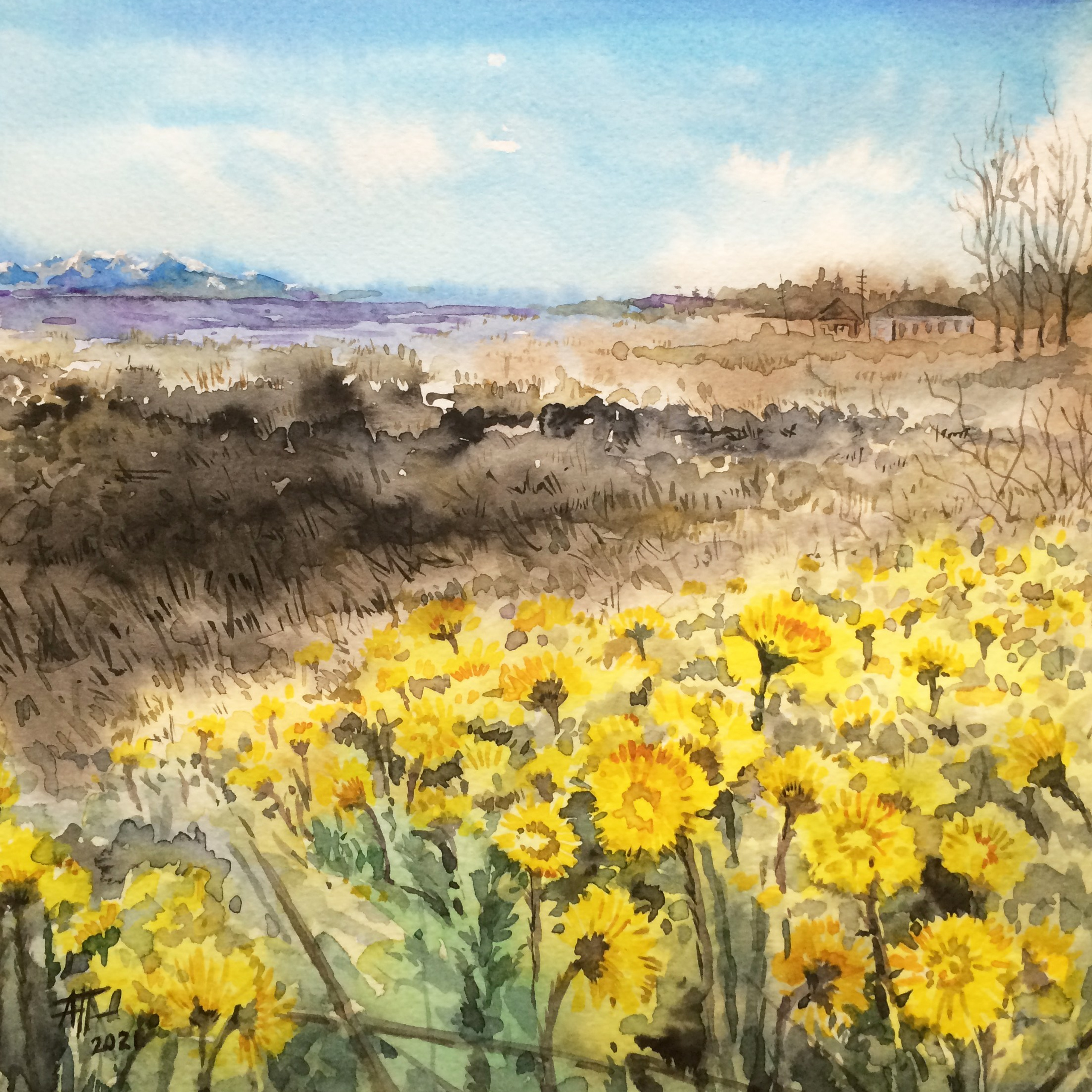 Акварель. Прекраснова. Prekrasnova