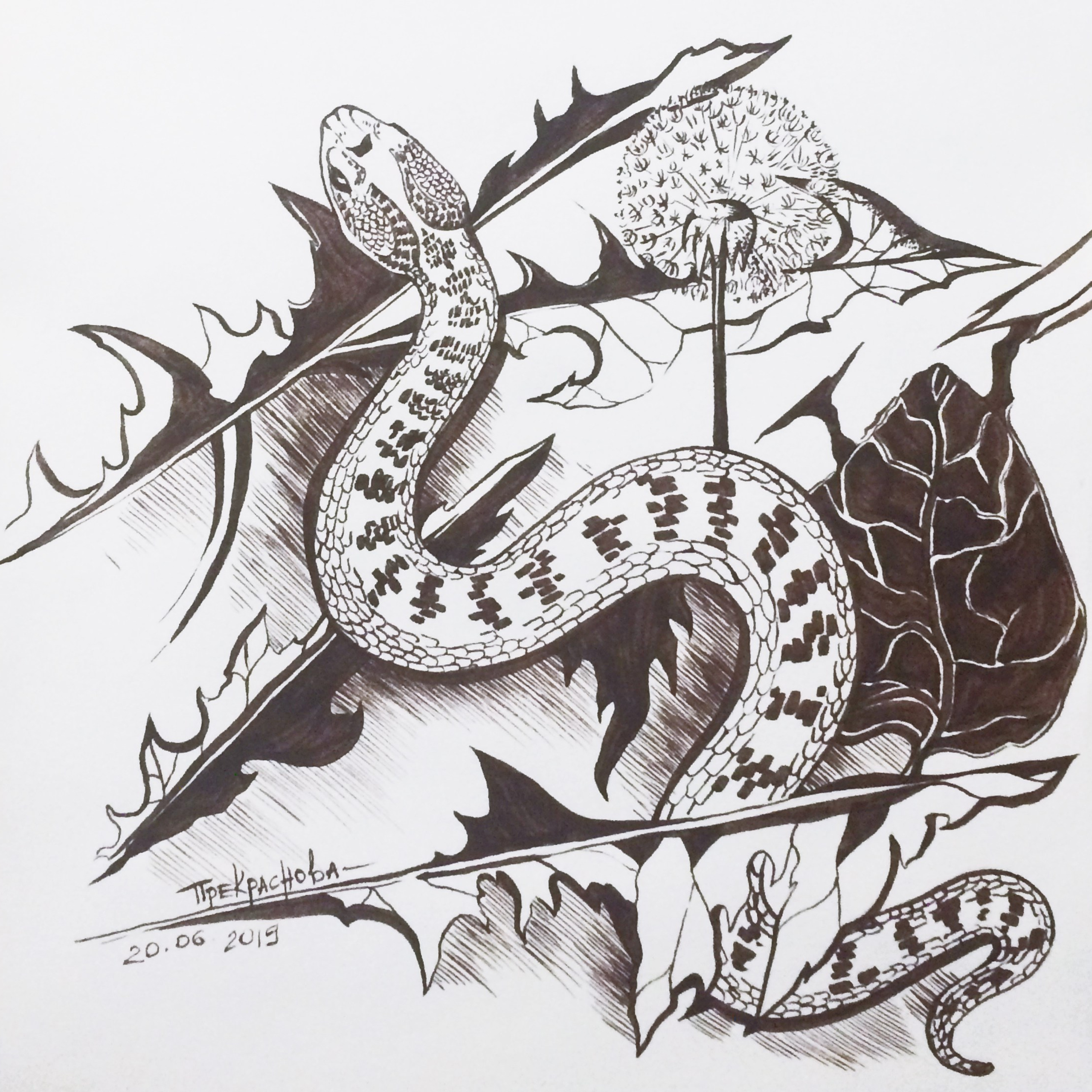 Тушь. Прекраснова. Prekrasnova