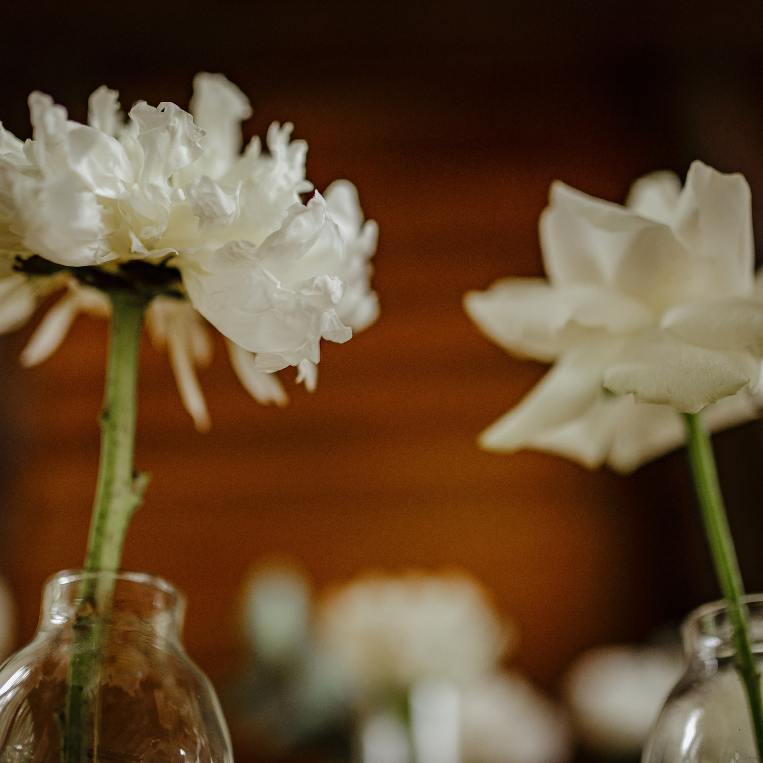 Съёмка свадебного декора. 100-й пруд